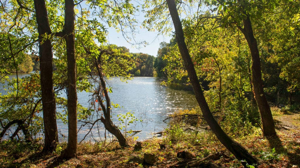 Annie and Abel Van Meter, Fall, Landscape, Lake 4