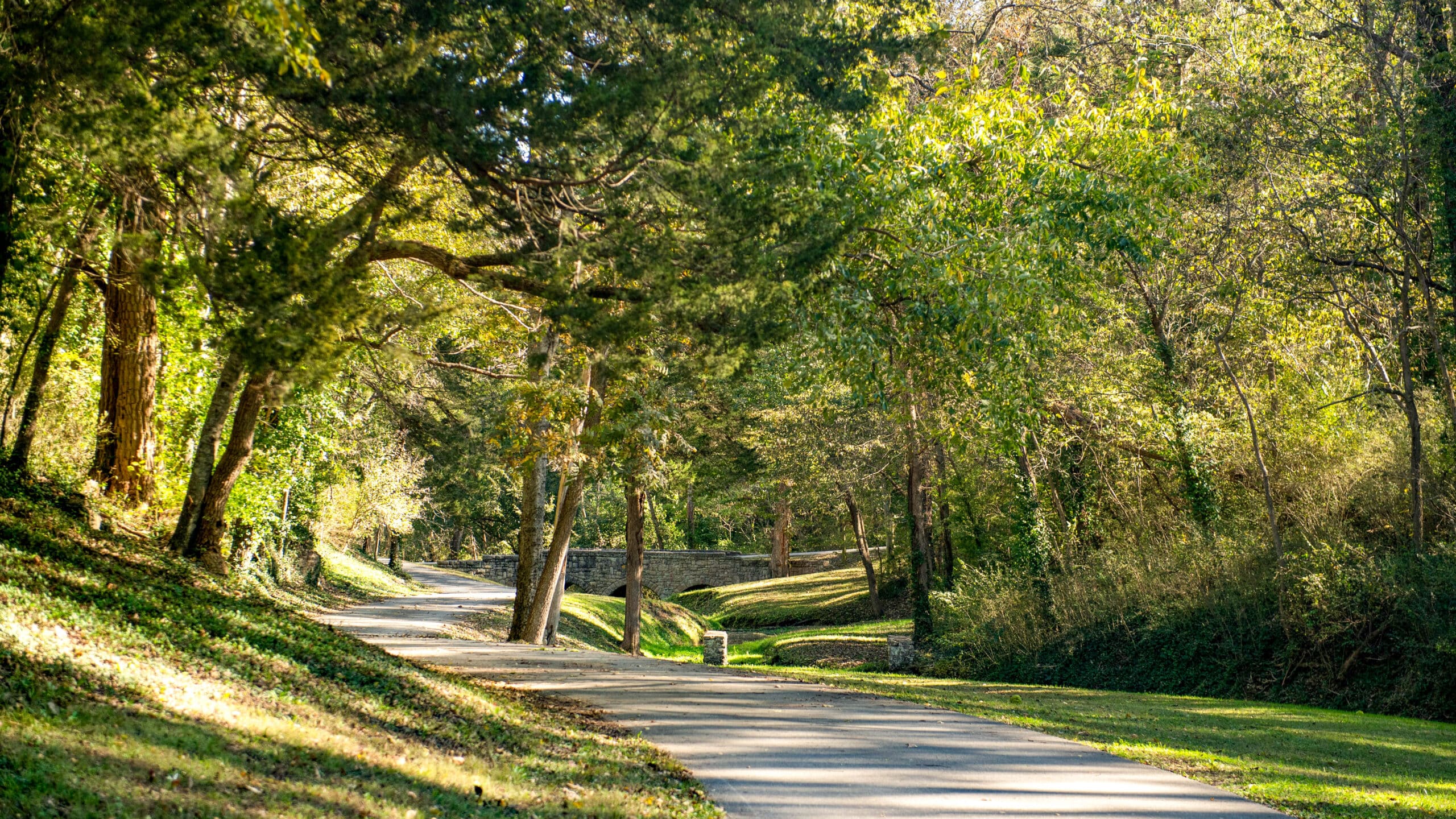 Rock Bridge Memorial State Park