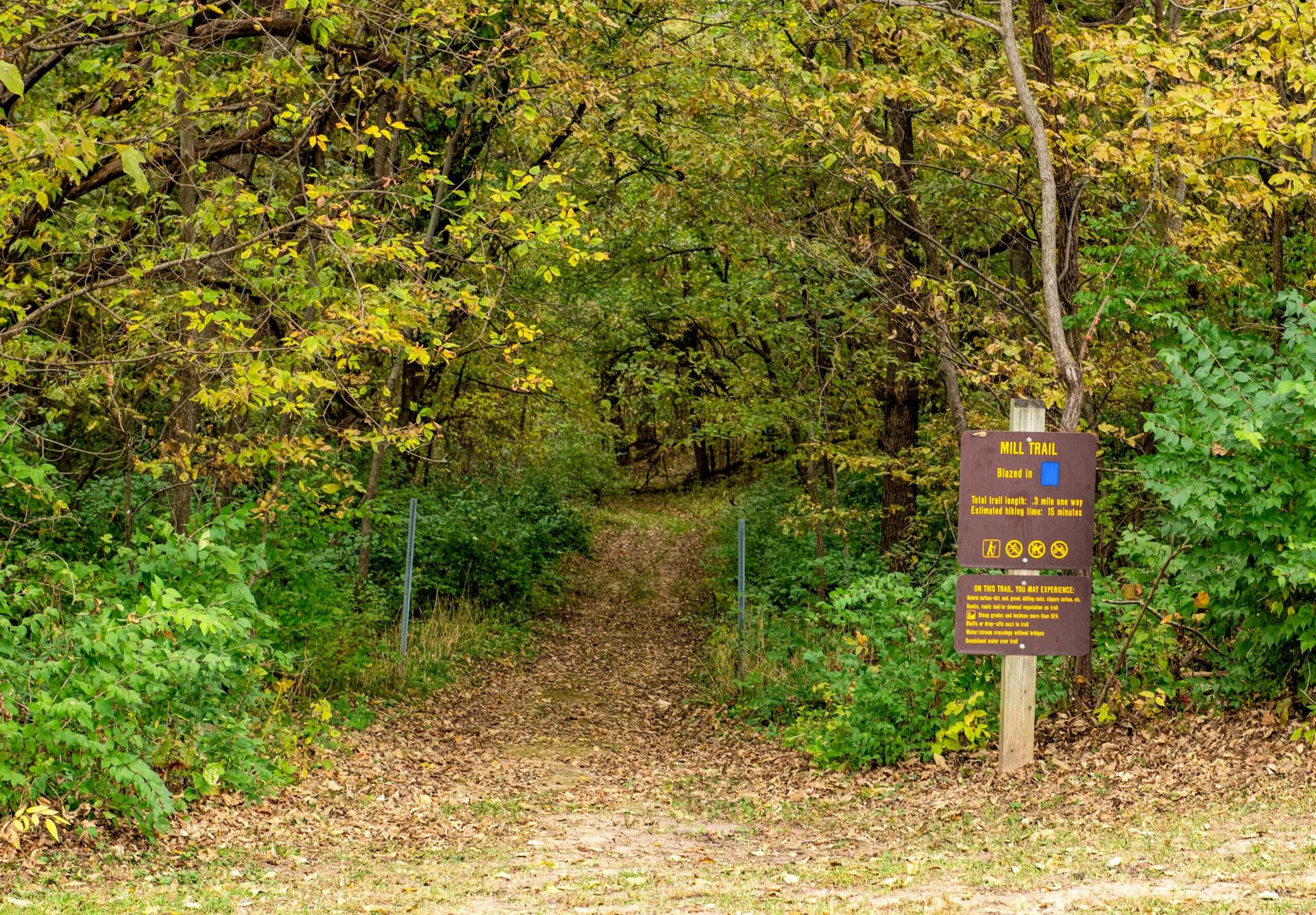 Battle of Athens, Fall, Hiking, Mill Trail