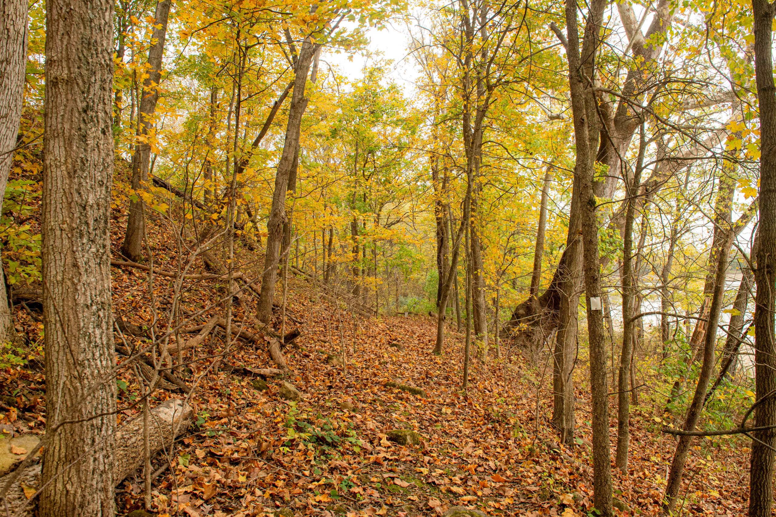 Battle of Athens State Historic Site