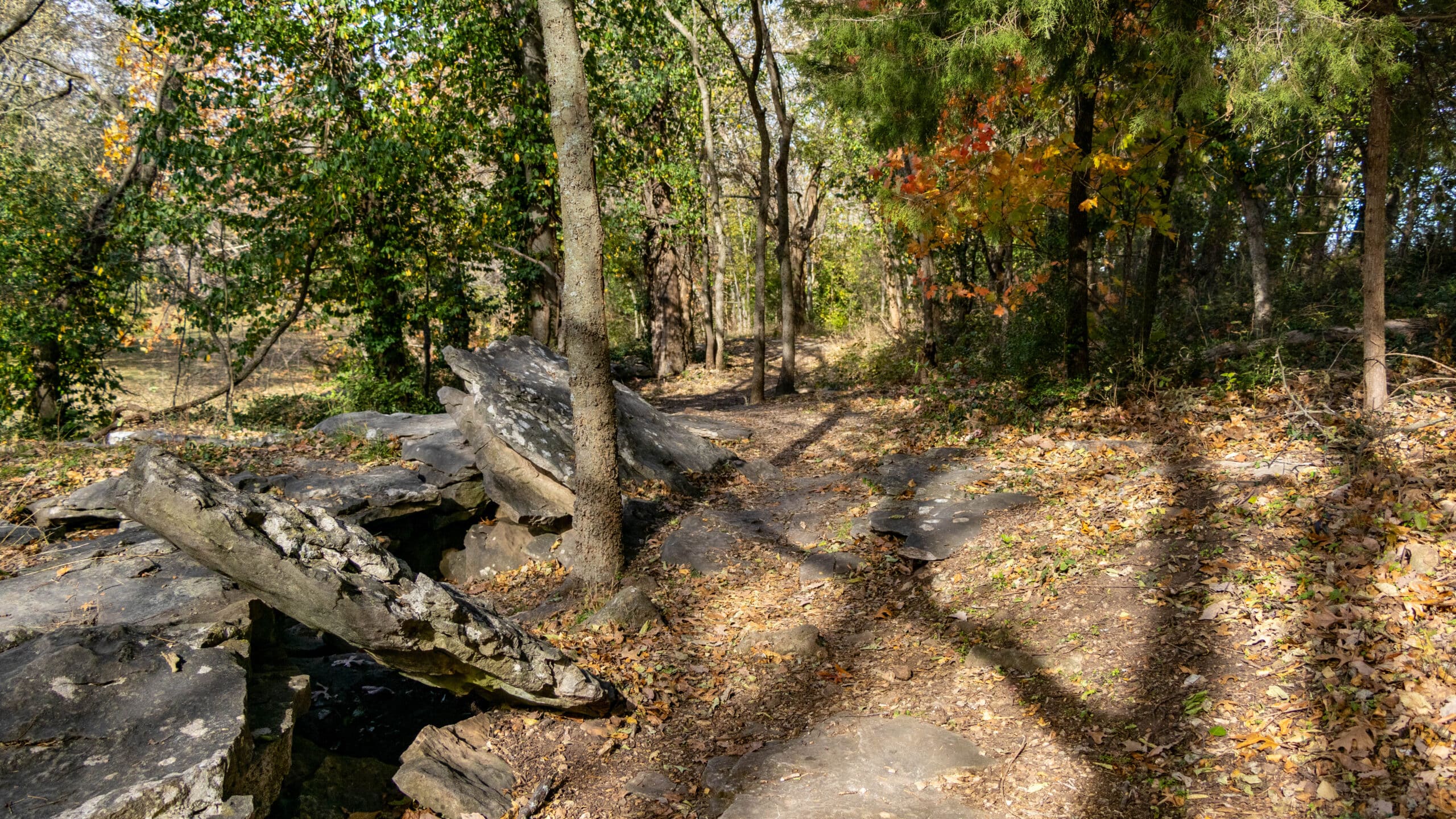 Battle of Carthage State Historic Site
