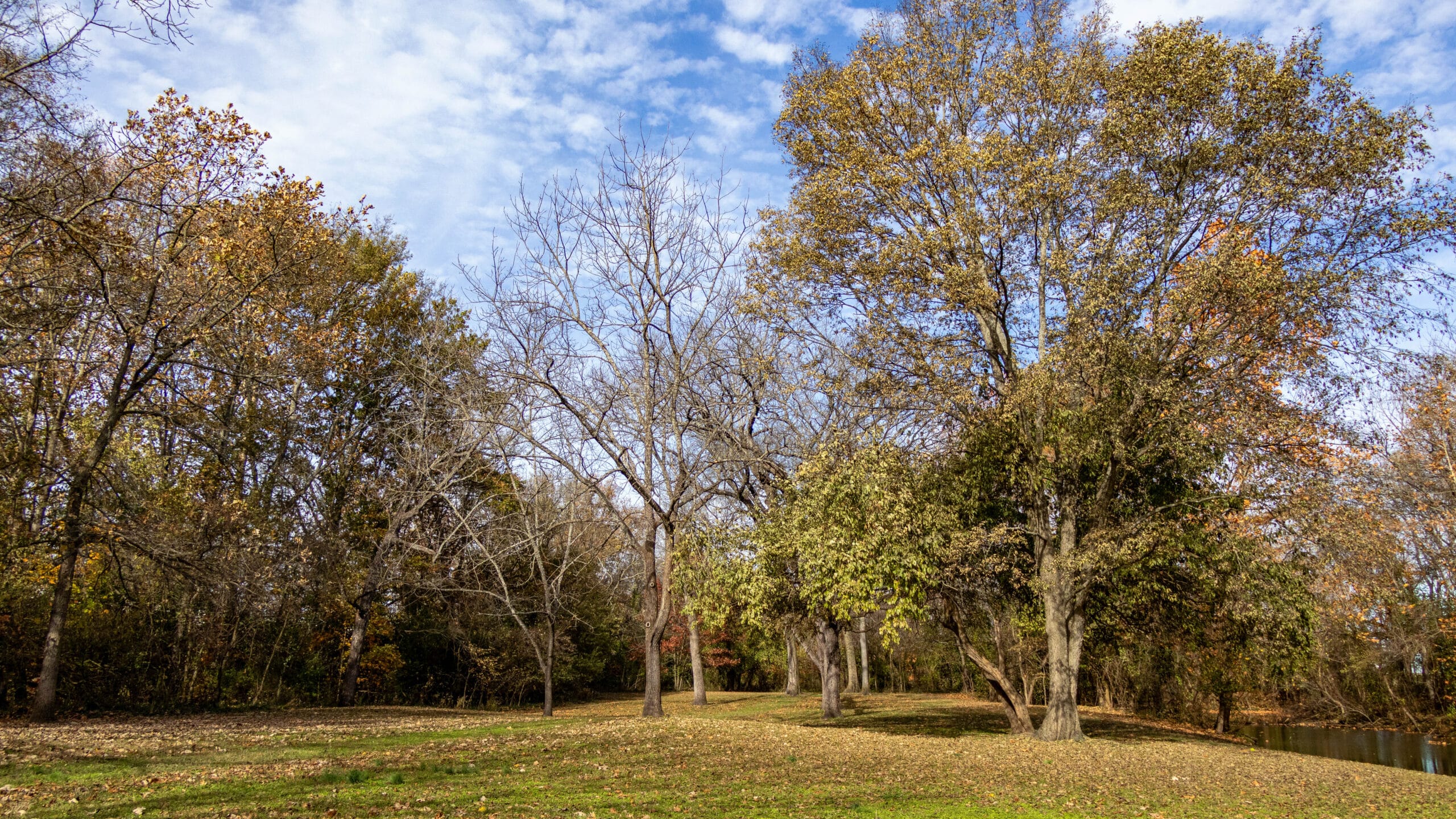 Battle of Carthage, Fall, Landscape, Battlefield