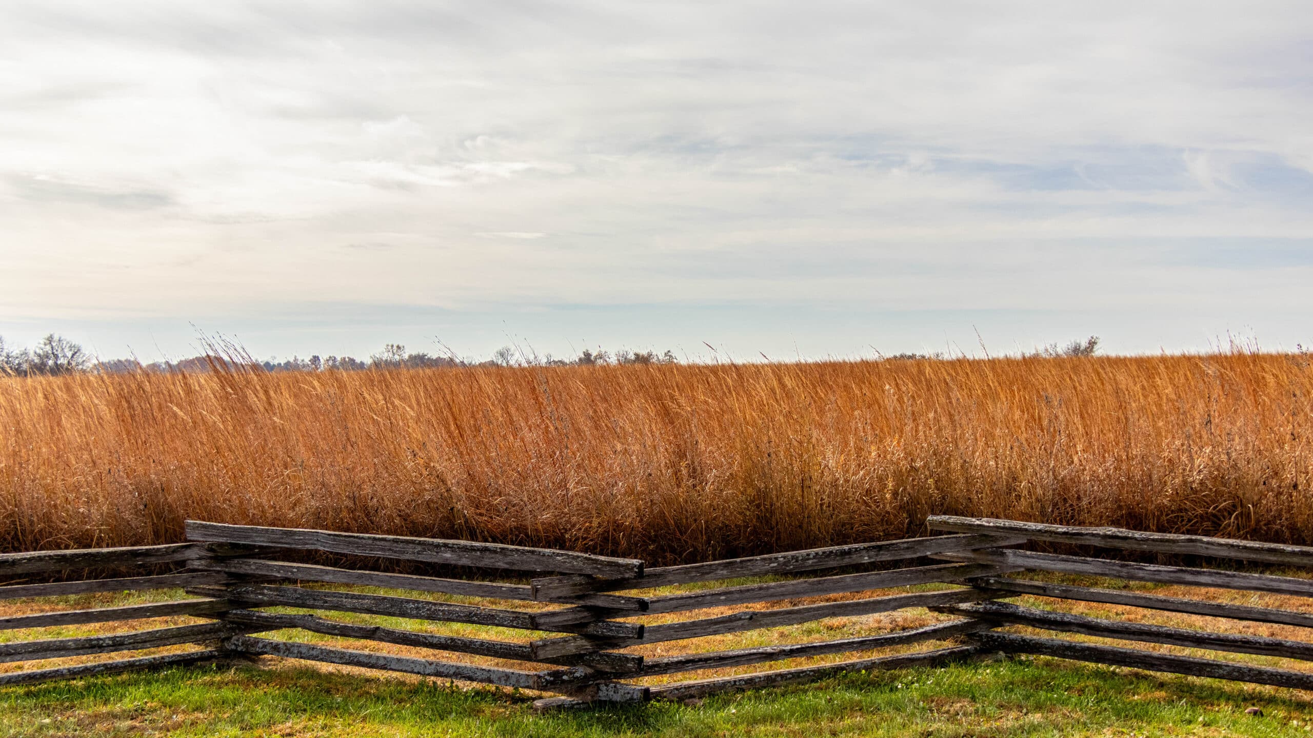 Battle of Island Mound, Fall, Landscape, Prairie Grass