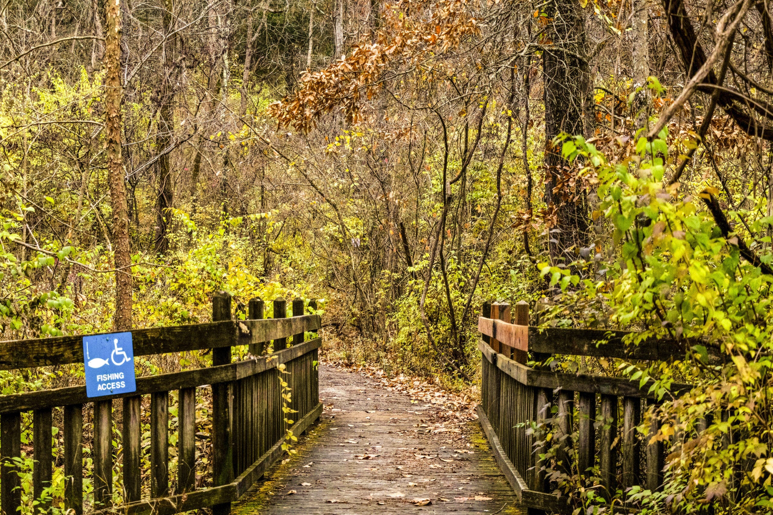 Dr. Edmund A. Babler Memorial State Park