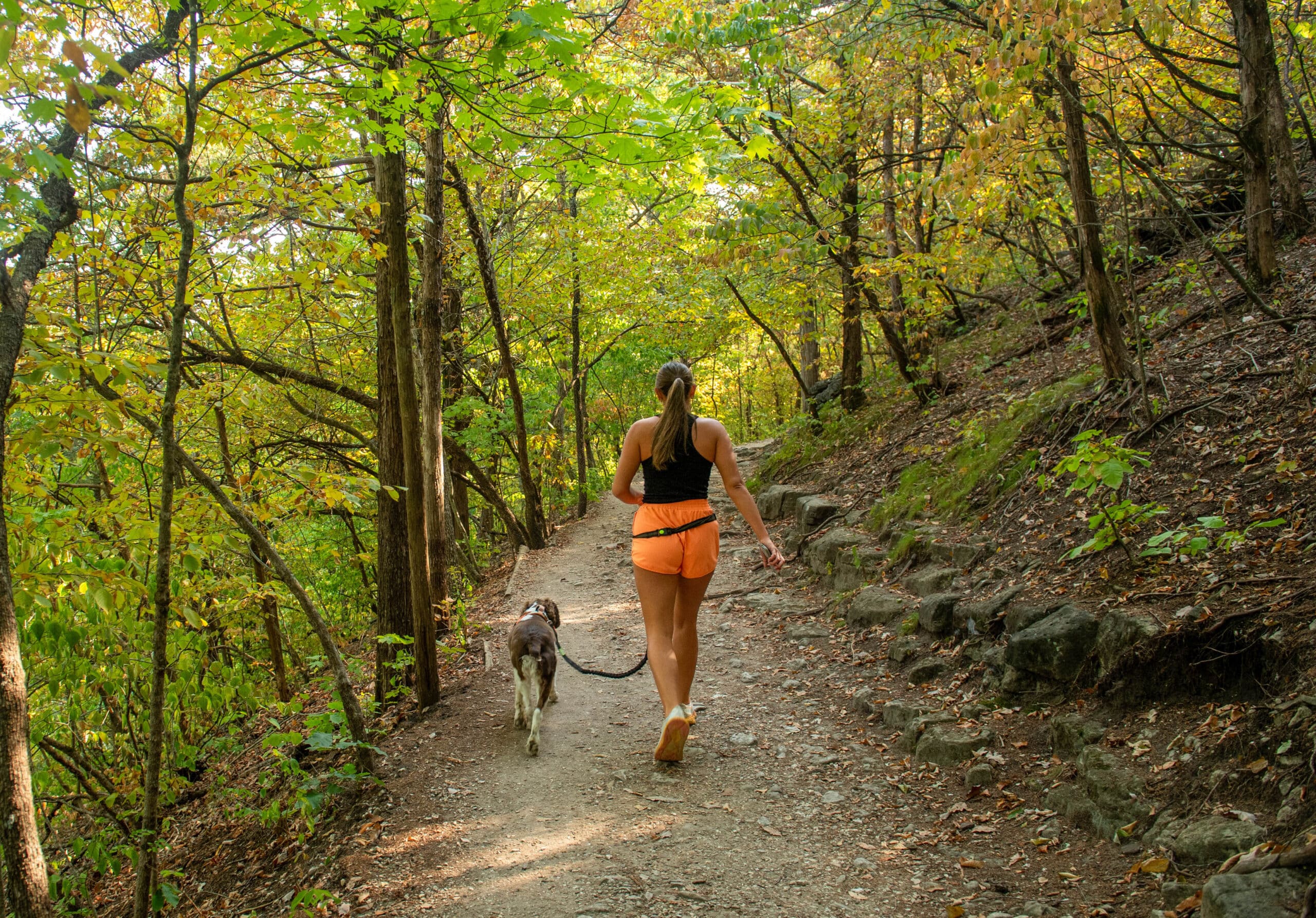 Ha Ha Tonka State Park