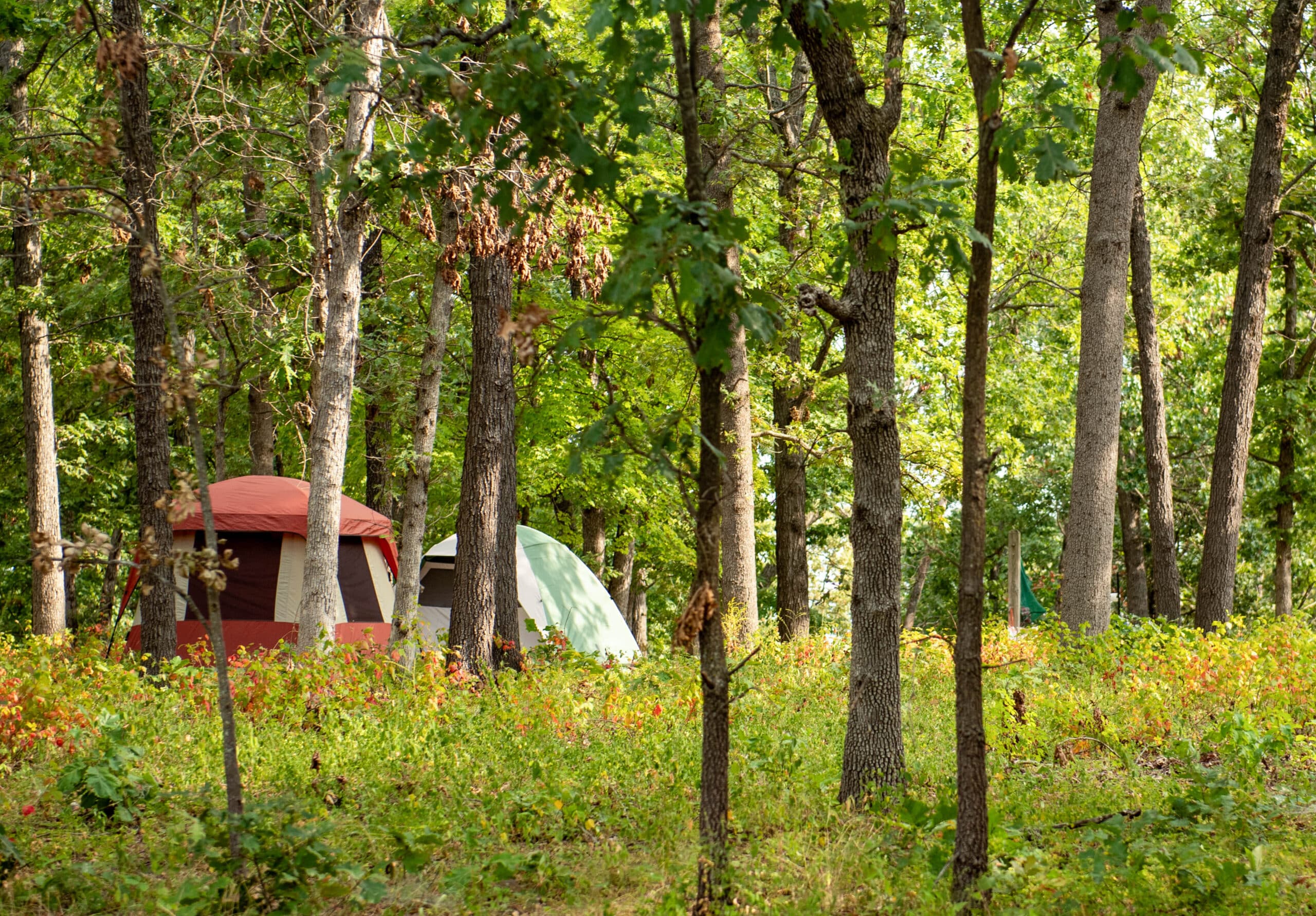 Harry S Truman State Park