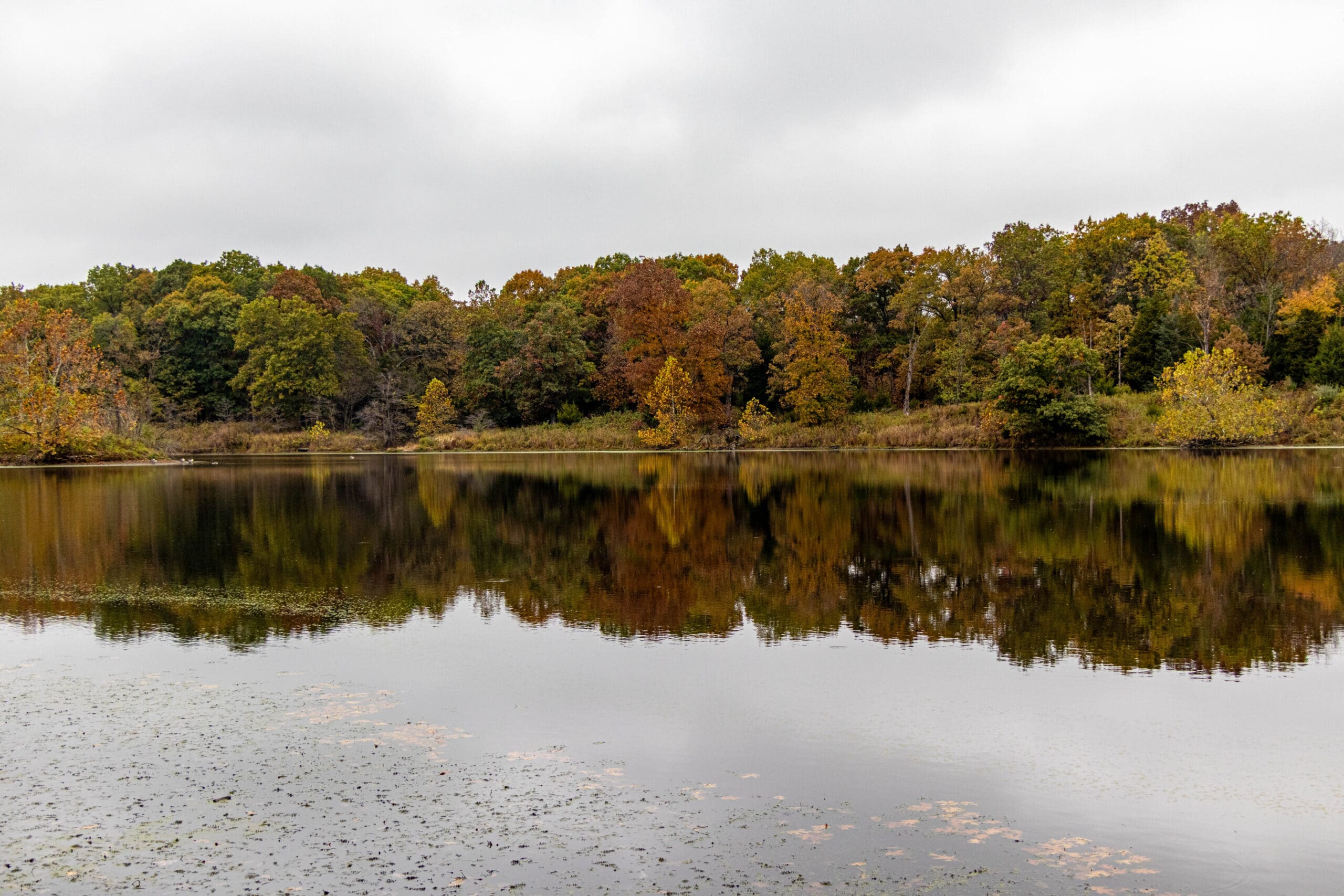 Knob Noster State Park