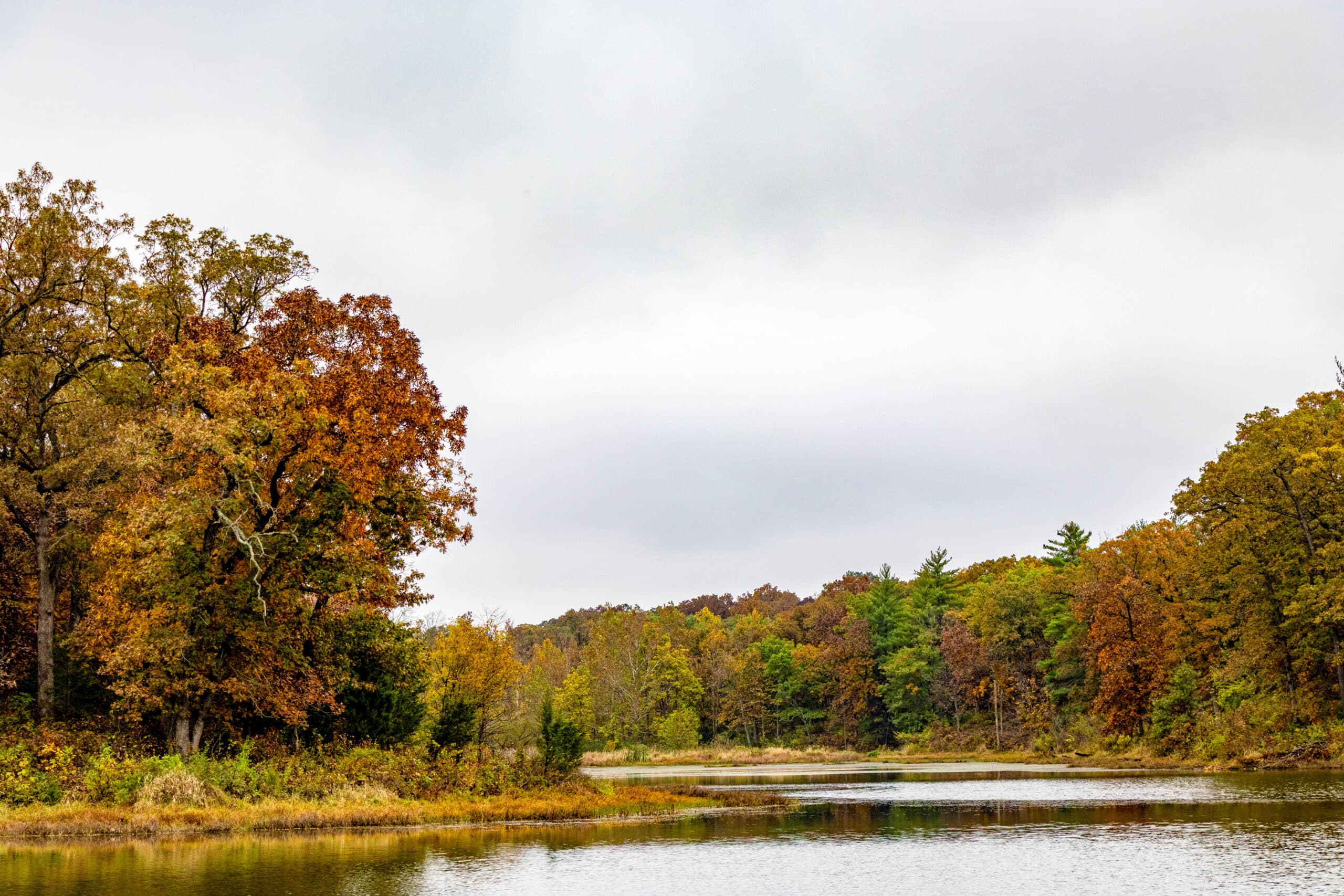 Knob Noster State Park
