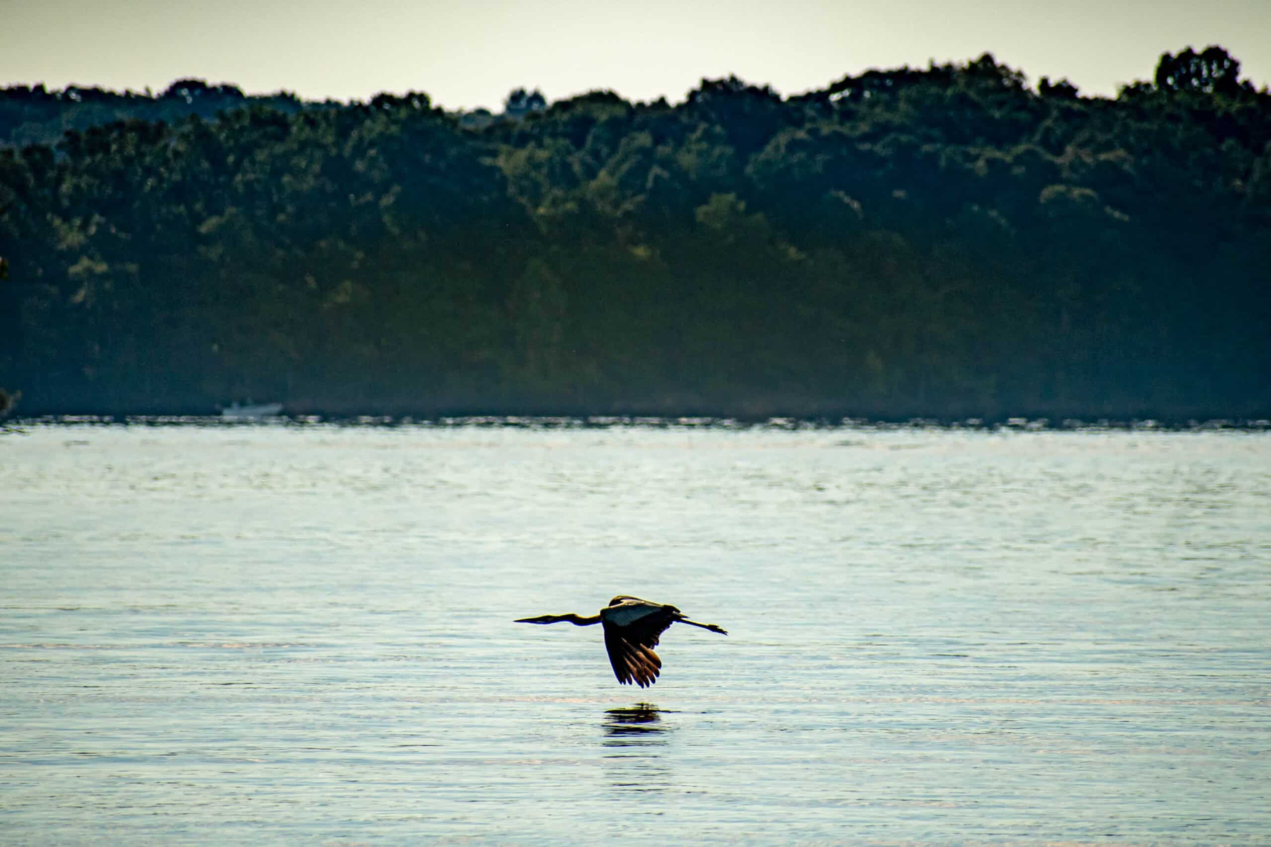 Lake of the Ozarks State Park