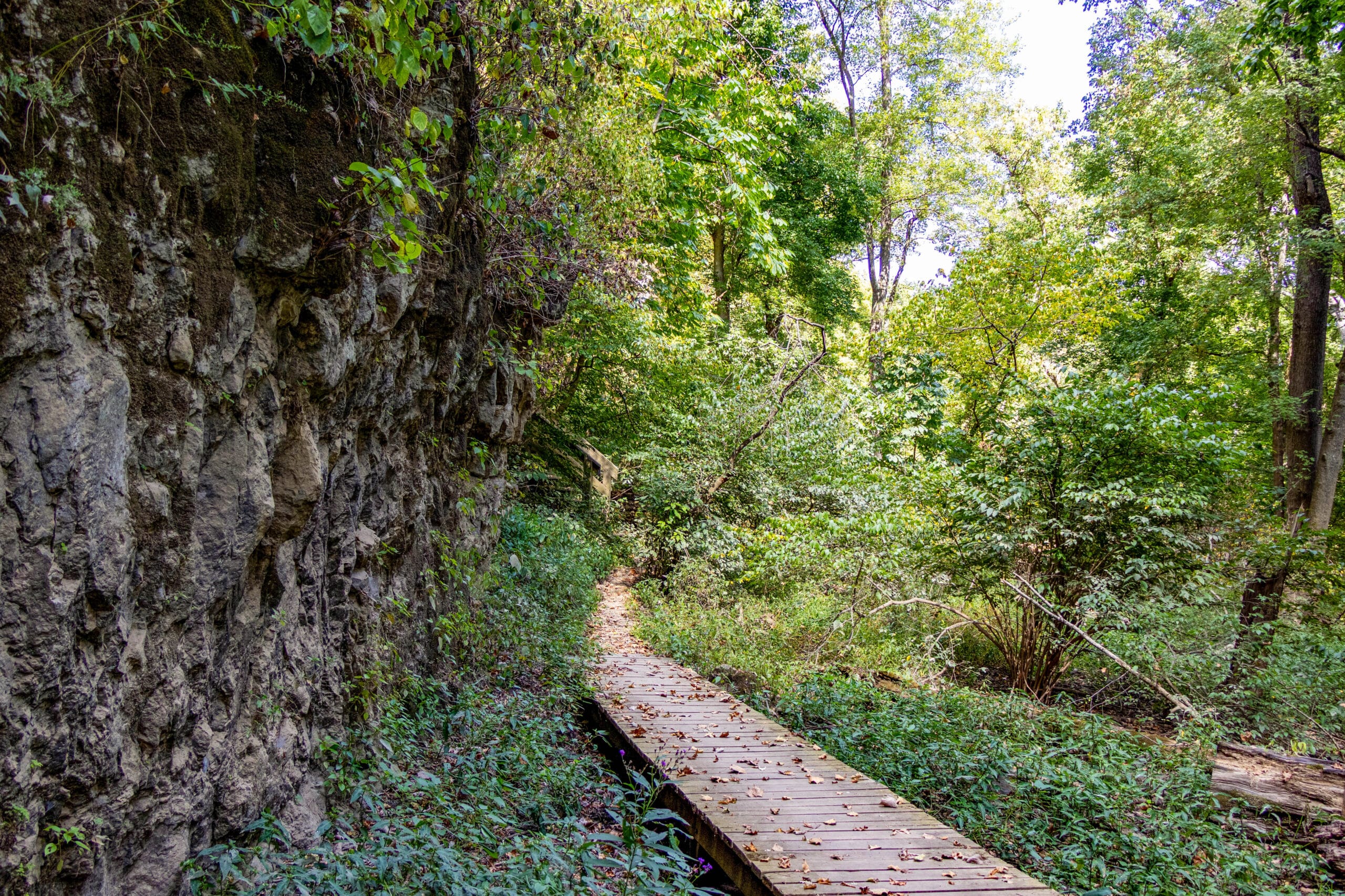 Meramec State Park