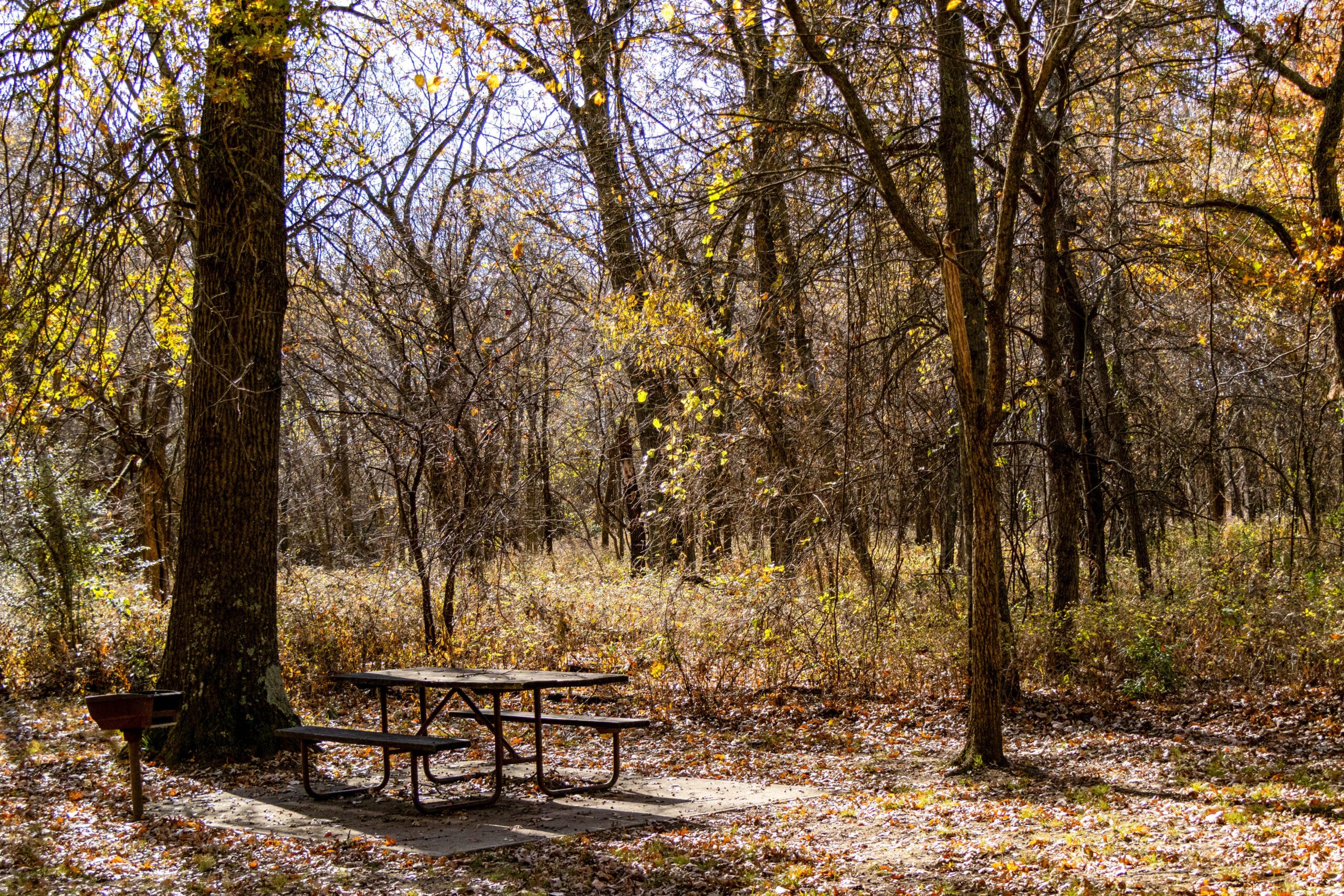 Prairie State Park