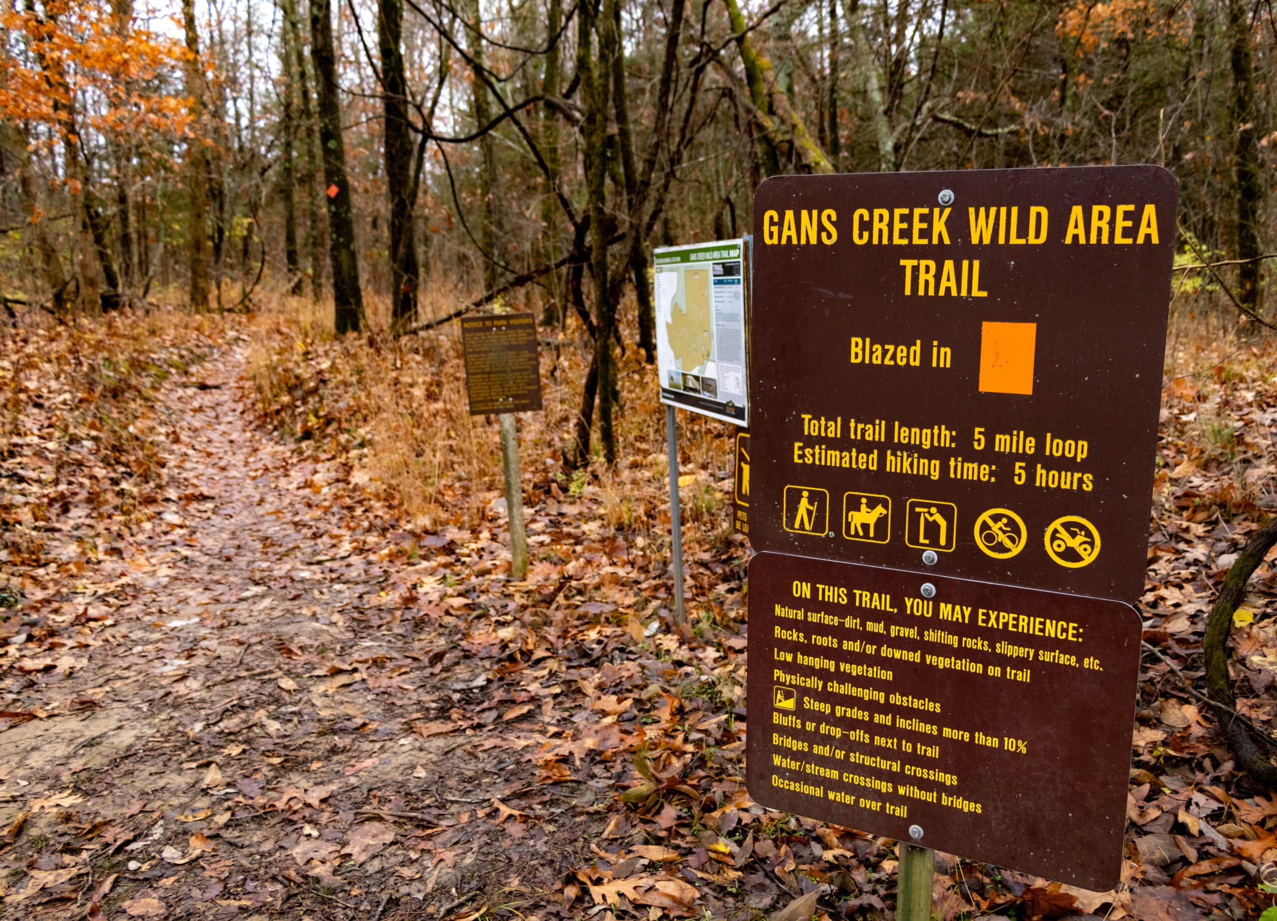 Rock Bridge Memorial State Park