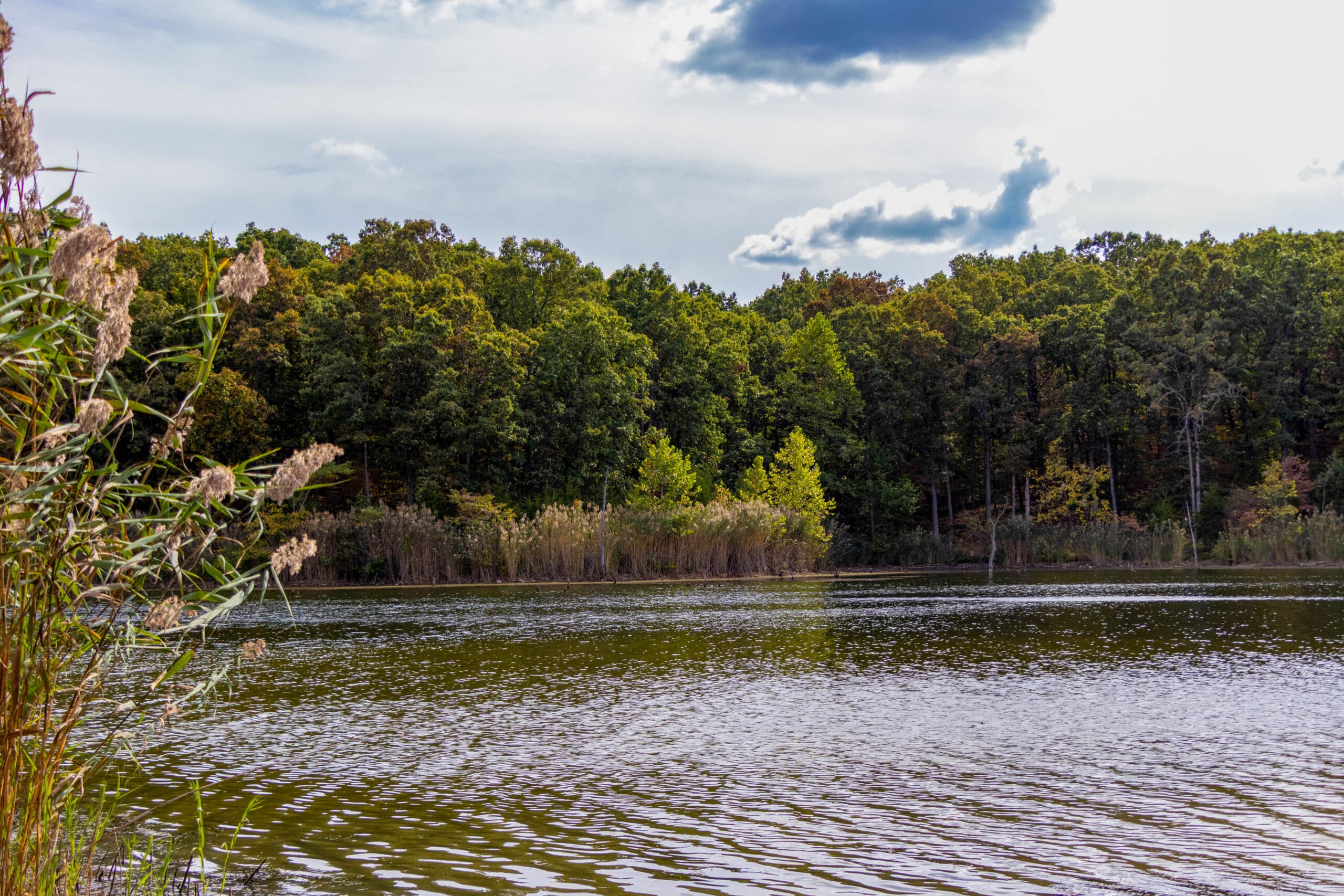 St. Joe State Park