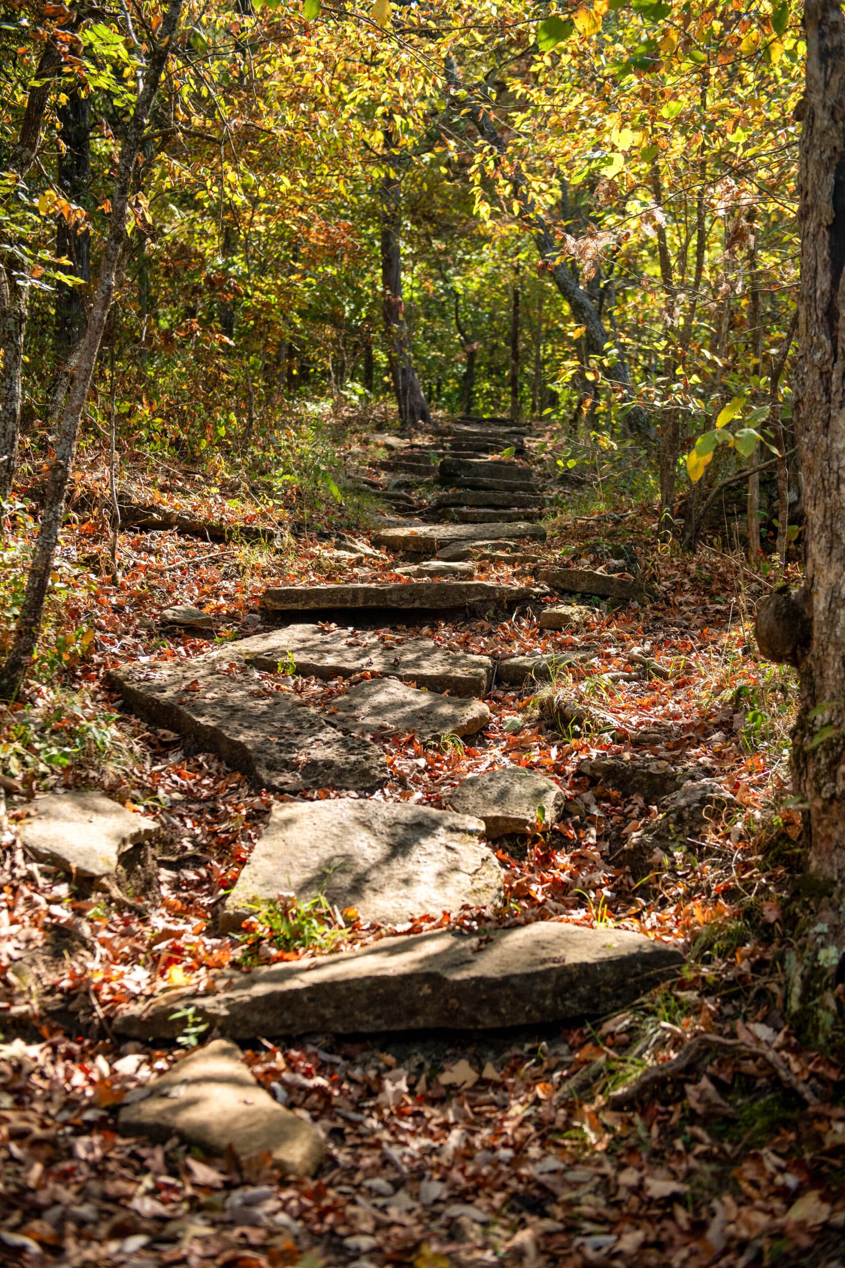 Washington, Summer, Hiking, Rock Trail