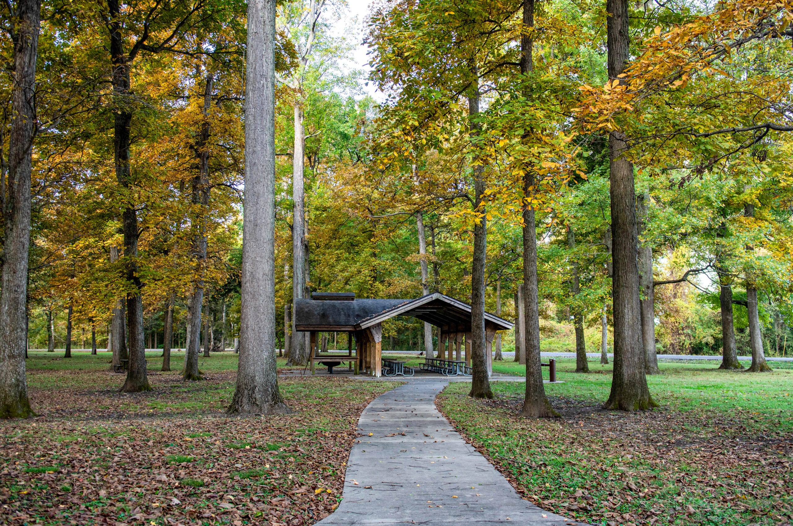 Big Oak Tree State Park