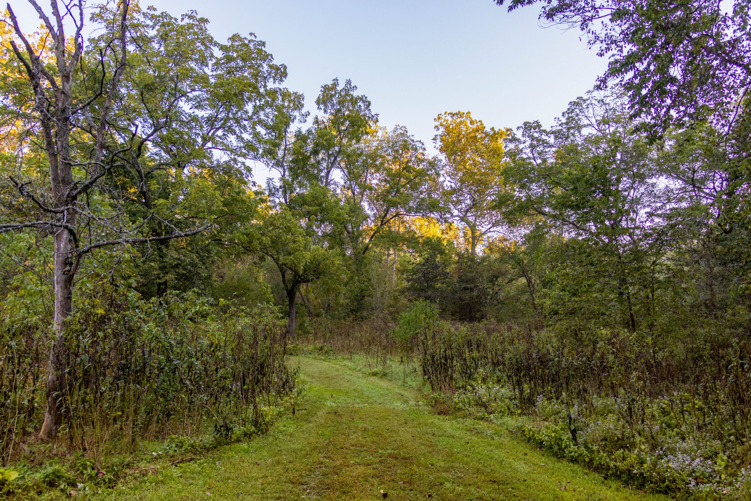 Big Sugar Creek State Park