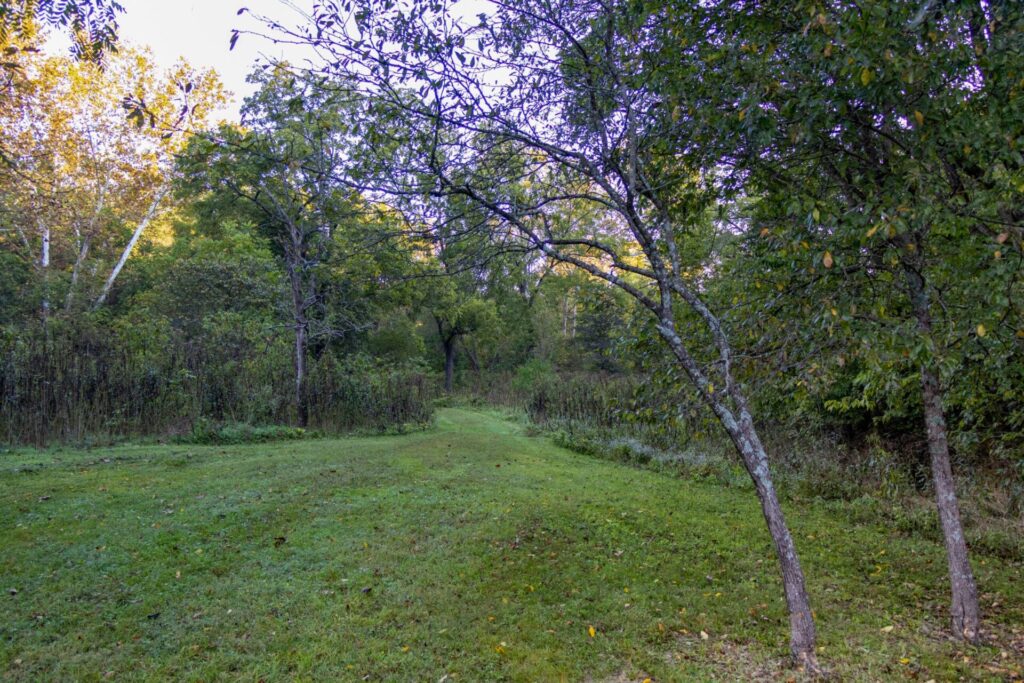 Big Sugar Creek, Fall, Hiking, Trail 5-2 Big Sugar Creek, Fall, Hiking, Trail