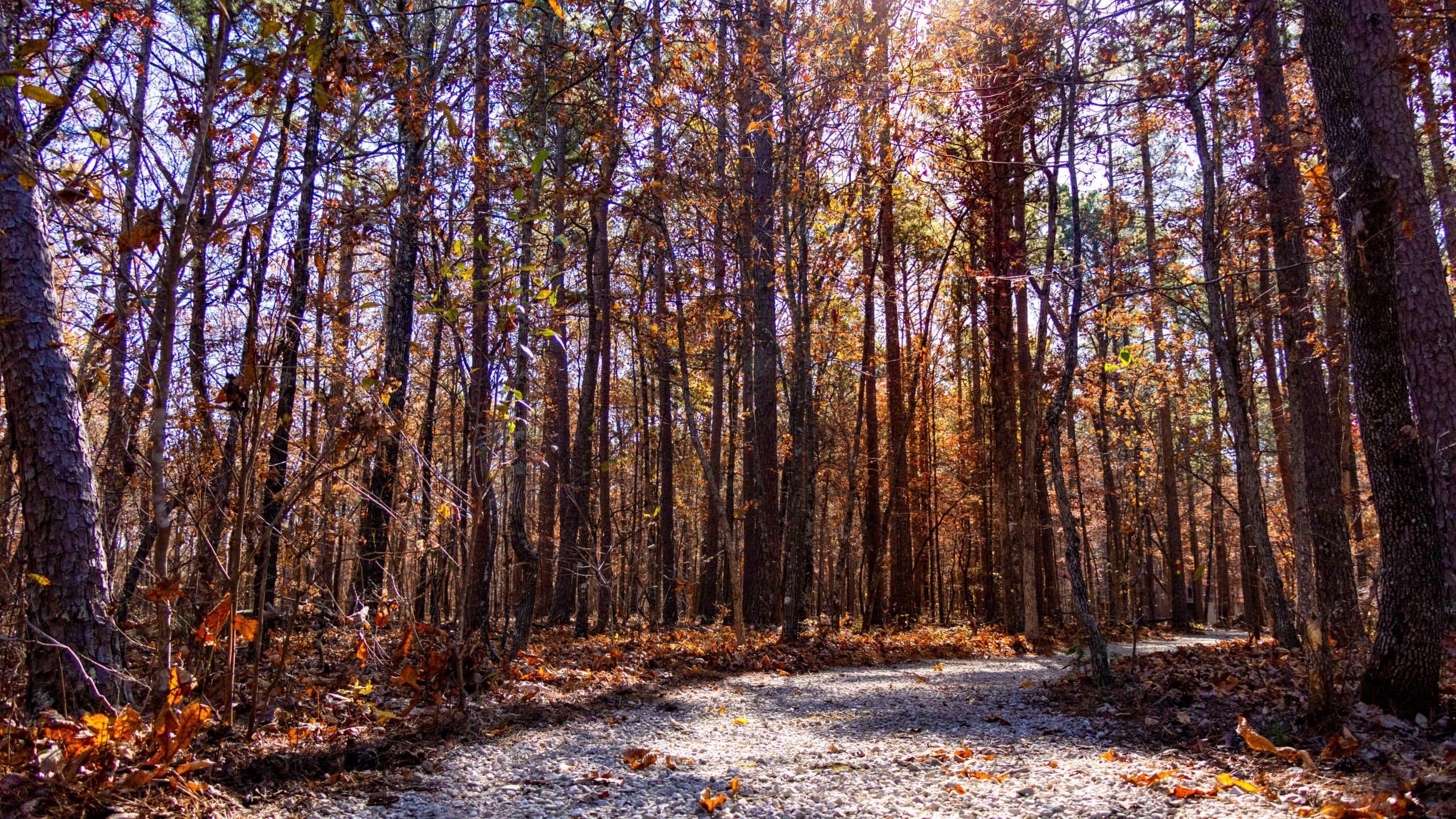 Bryant Creek State Park