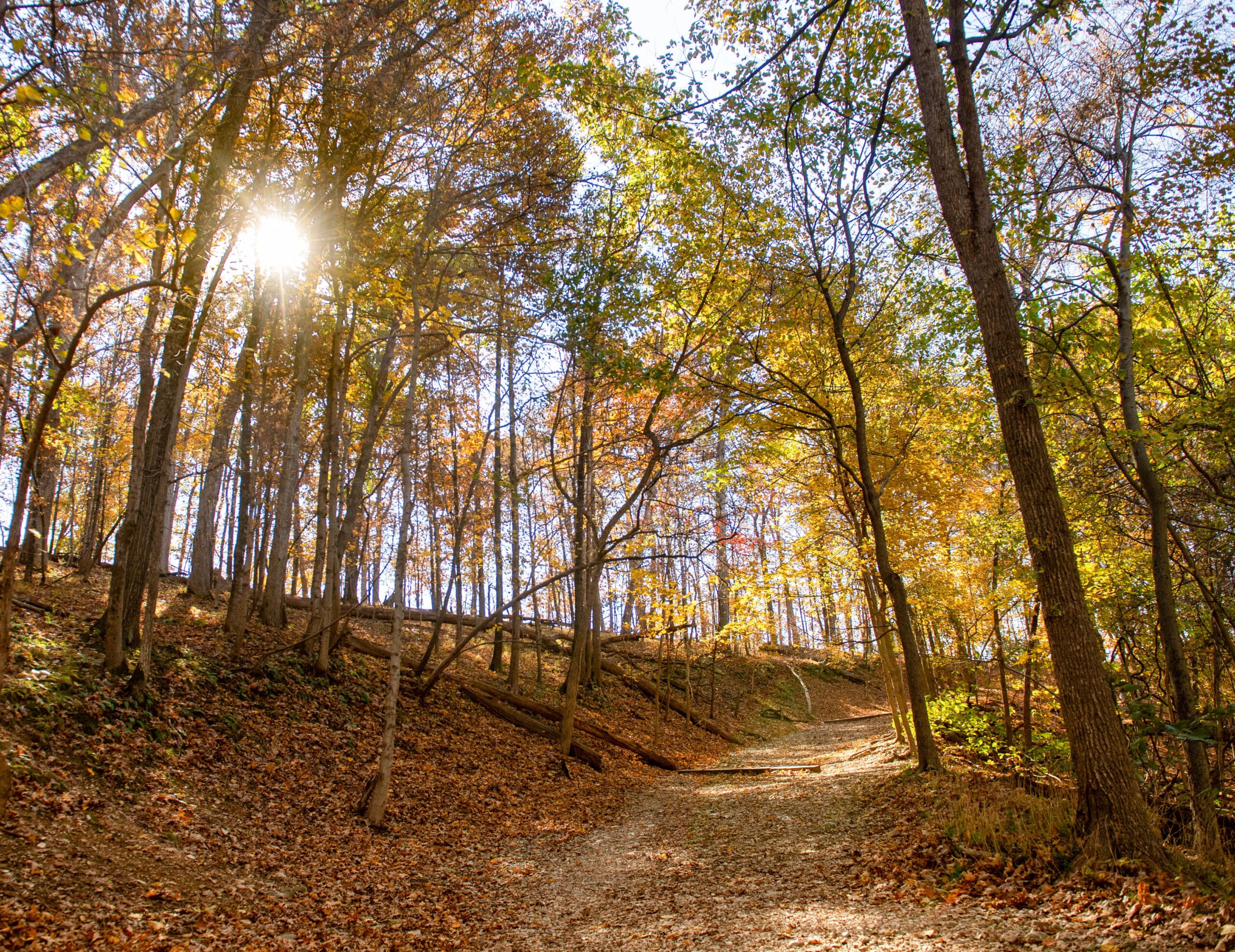 Castlewood State Park