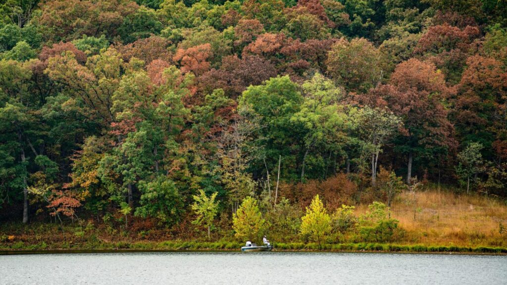 Cuivre River, Fall, Boating, Boat on River 3 Cuivre River, Fall, Boating, Boat on River