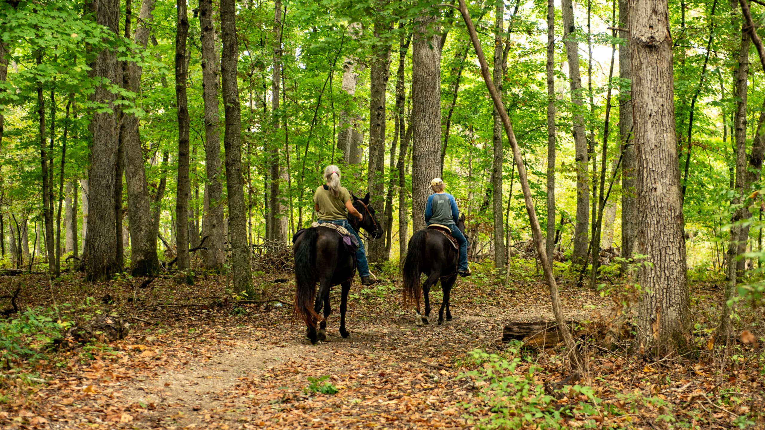 Cuivre River State Park