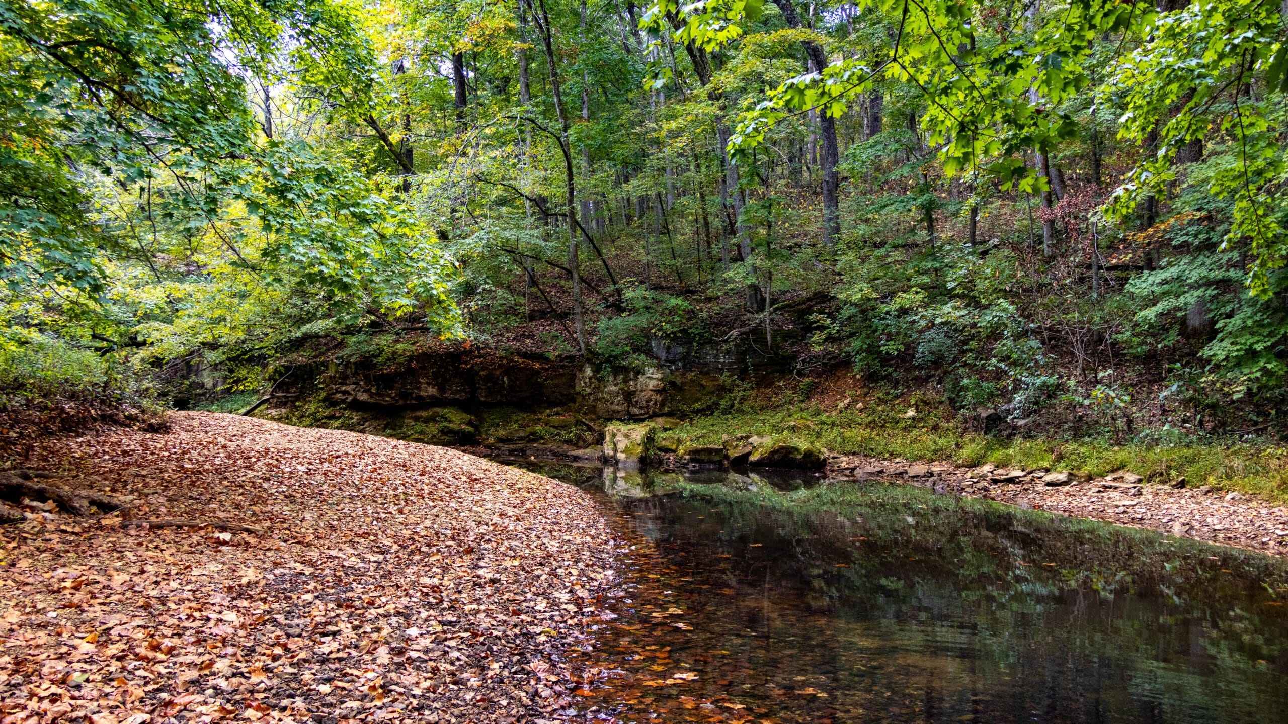 Cuivre River State Park