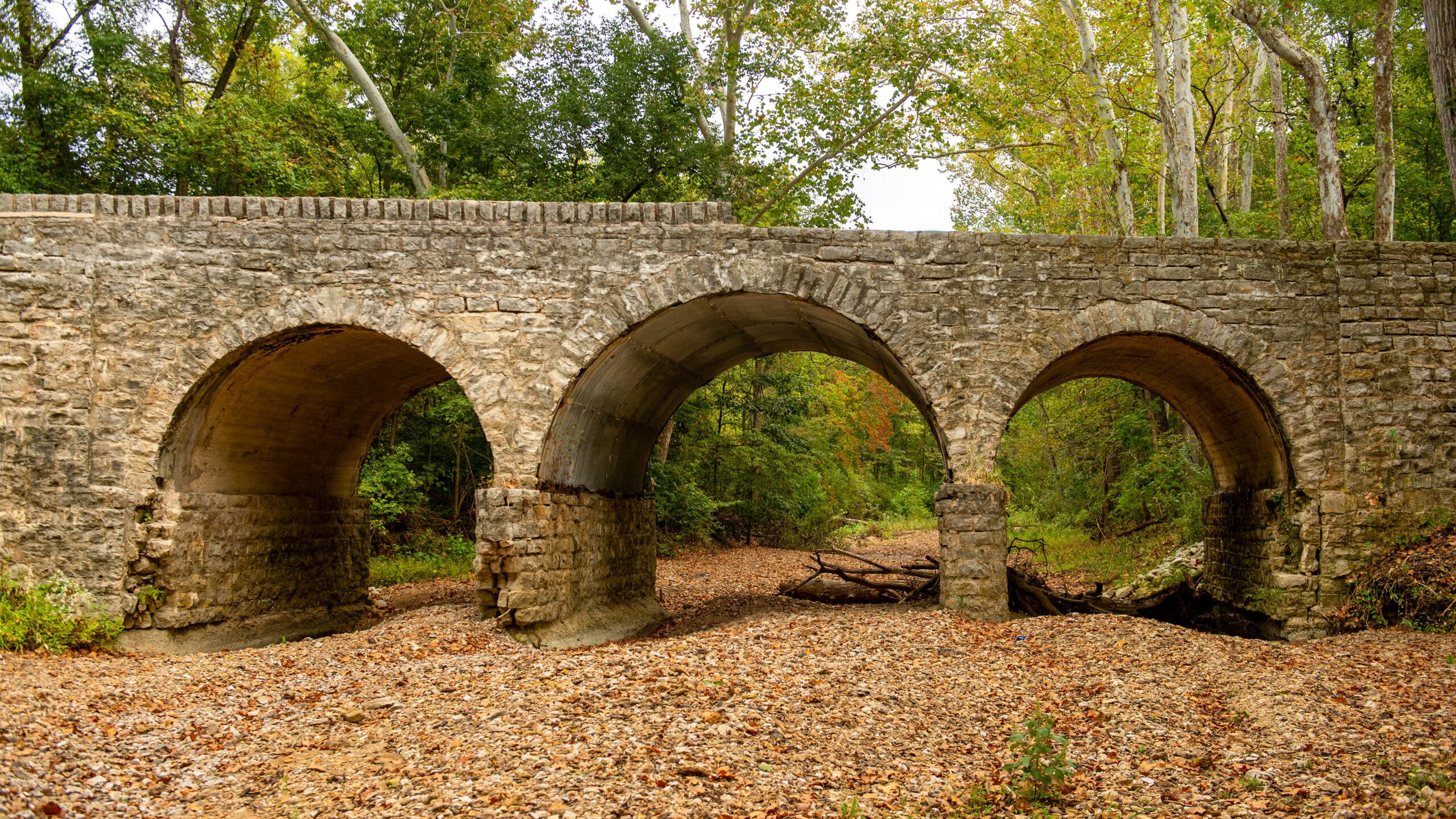 Rock Bridge Memorial State Park