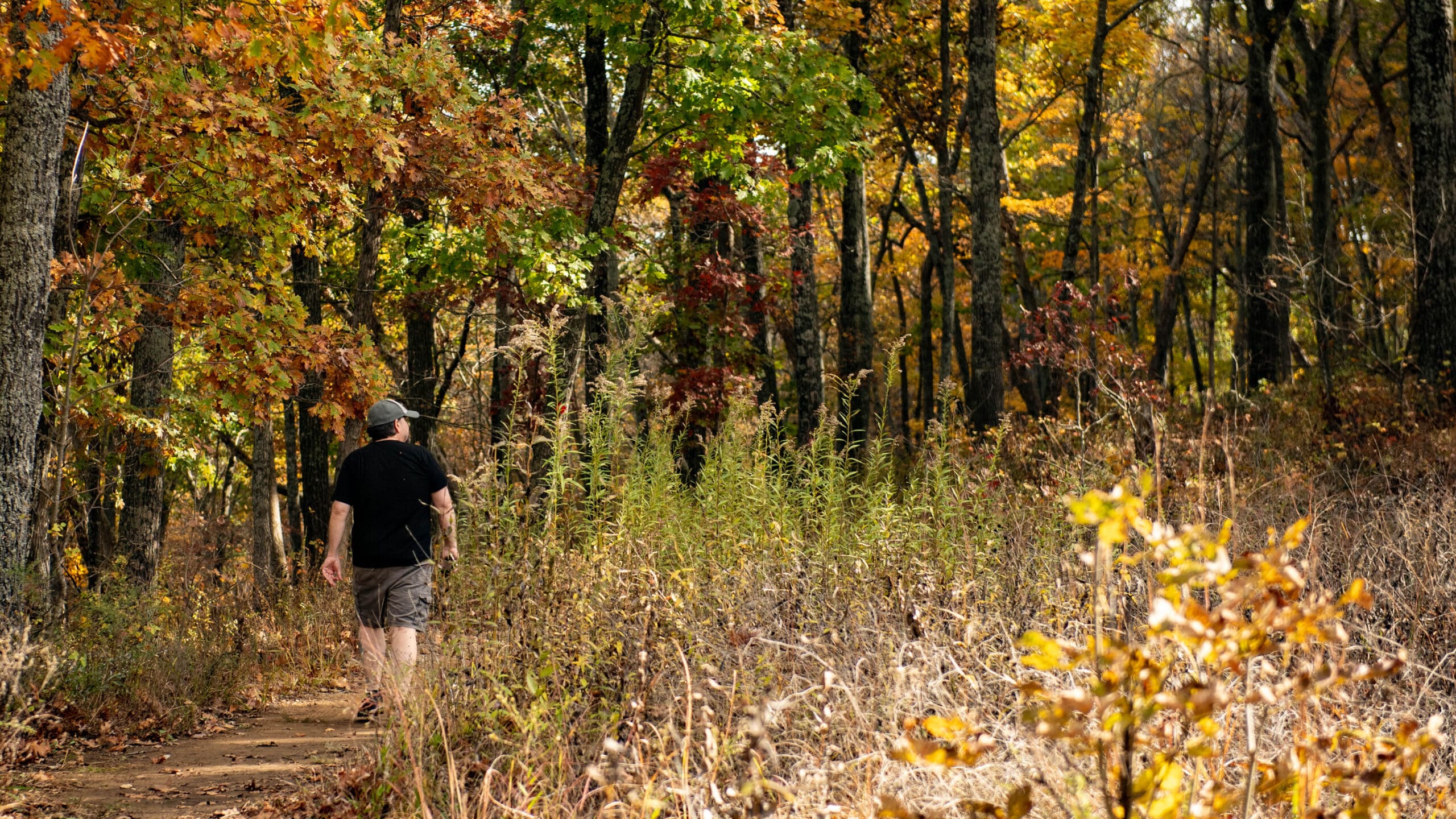Don Robinson State Park