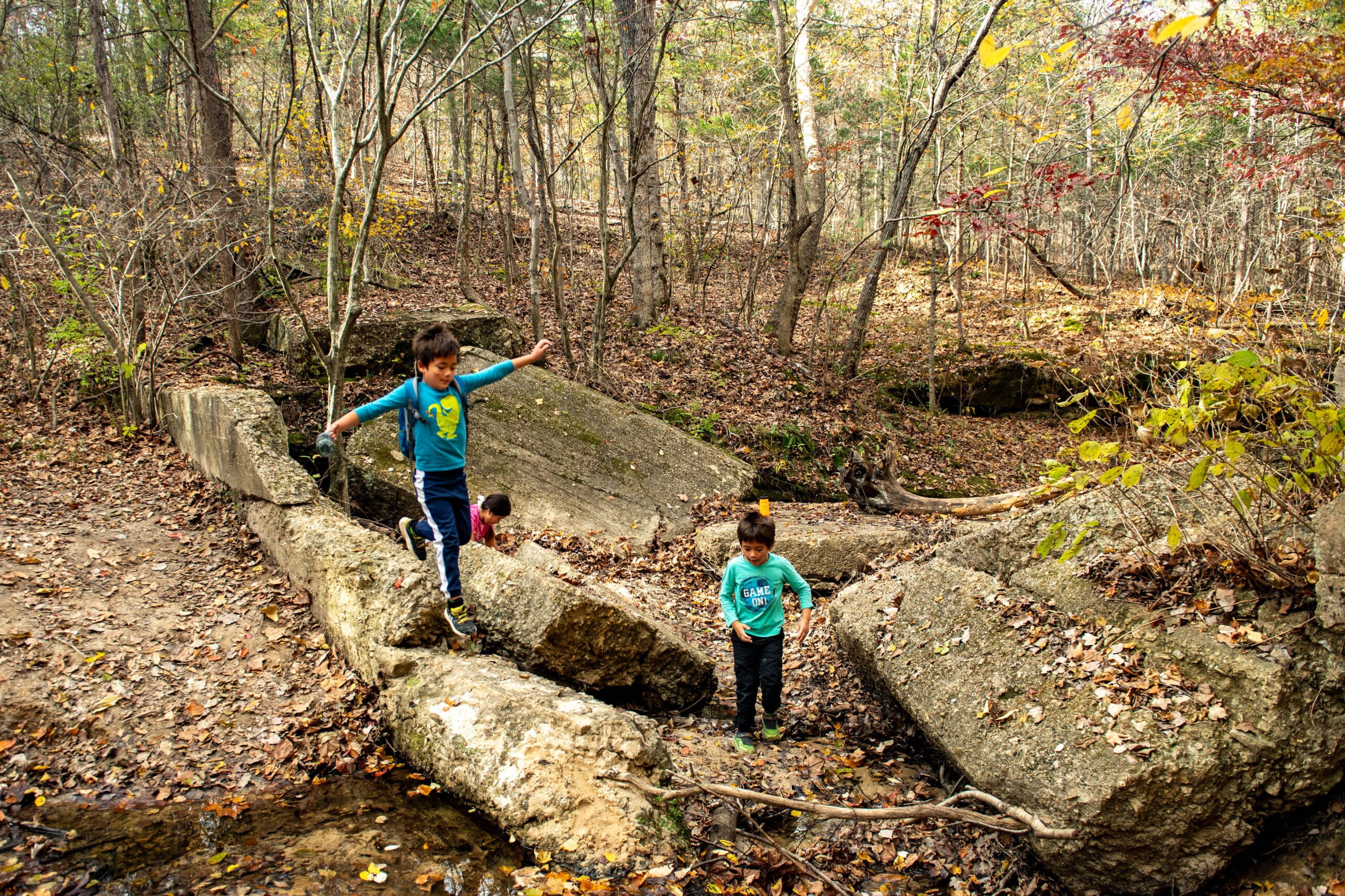 Don Robinson State Park