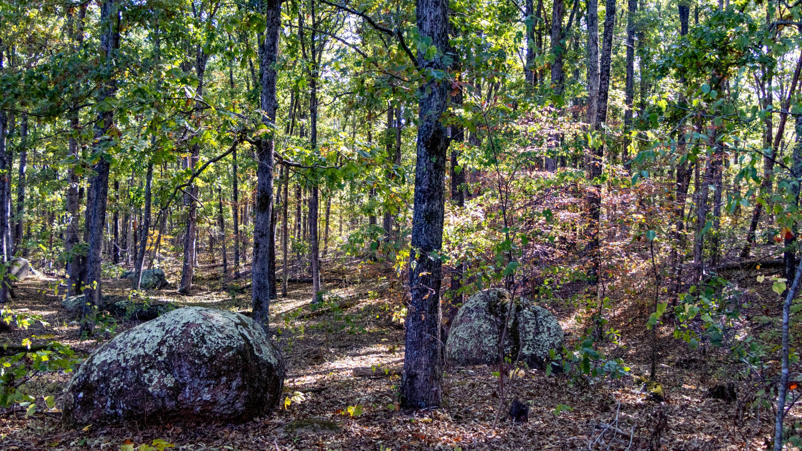 Elephant Rocks State Park