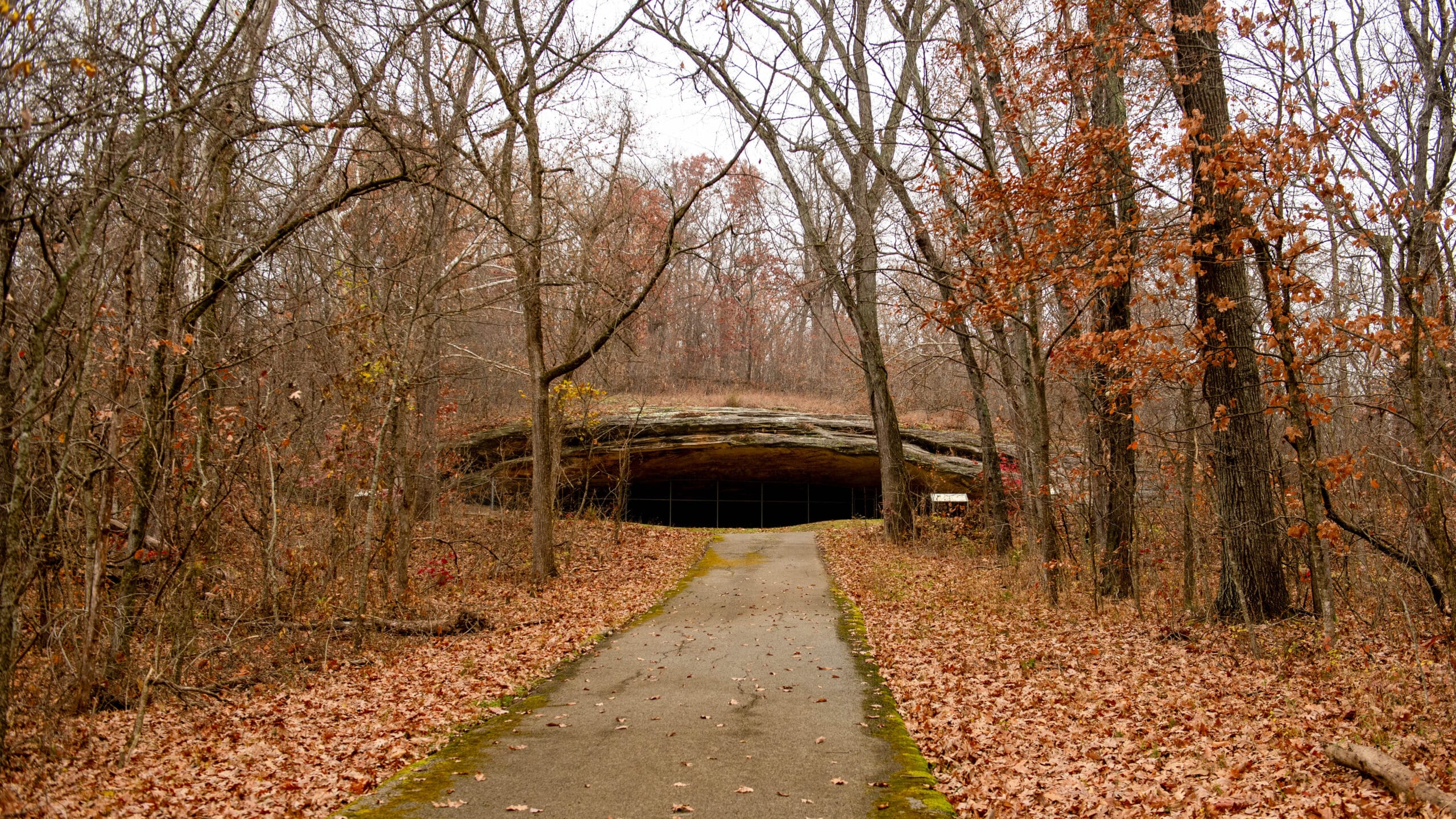 Graham Cave, Fall, Hiking, Cave Entrance