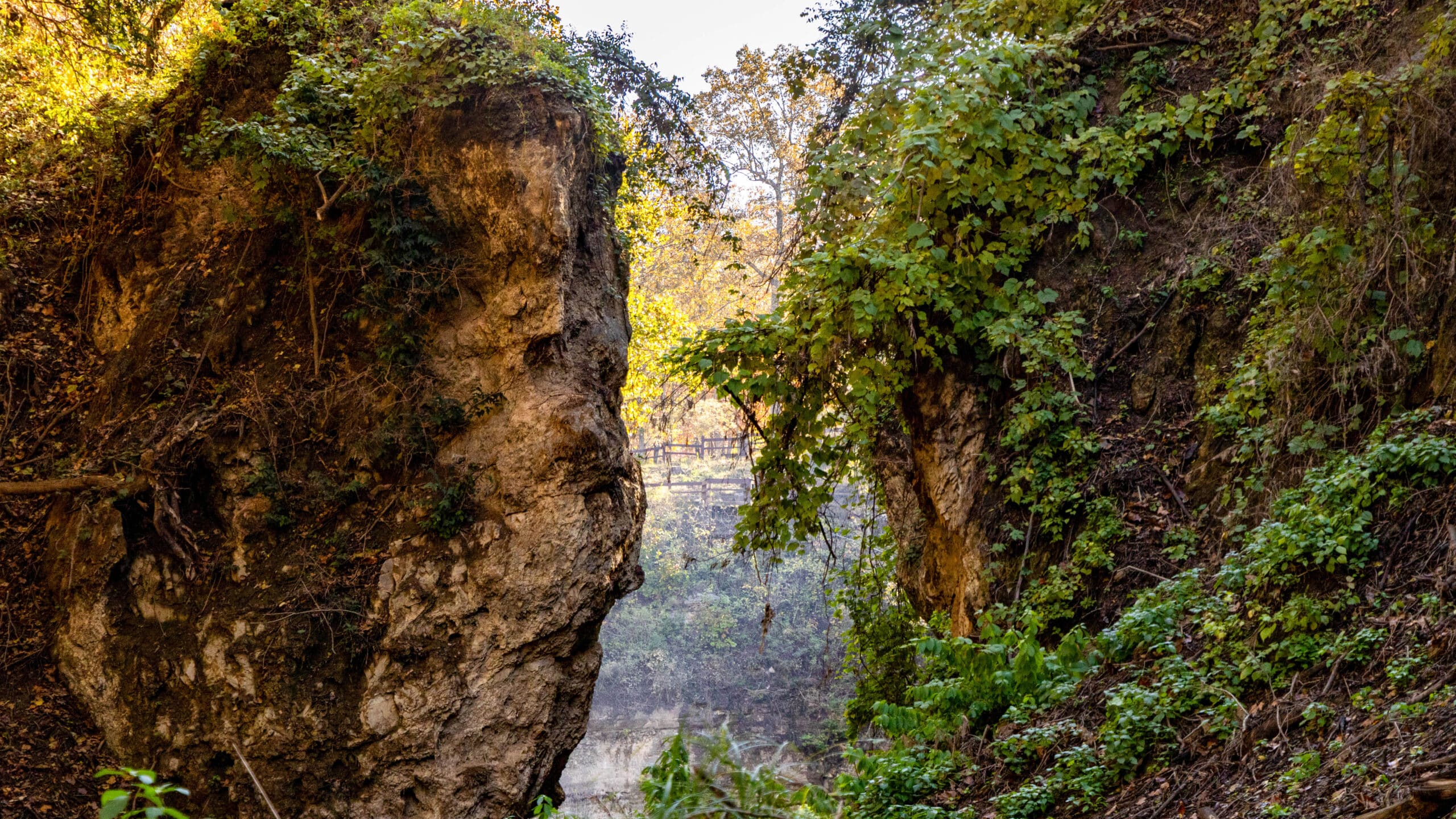 Grand Gulf State Park