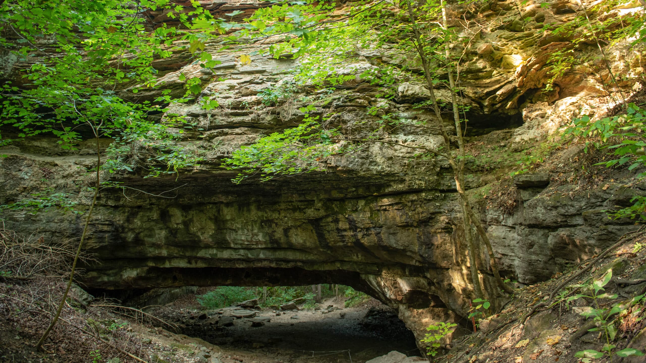 Ha Ha Tonka State Park