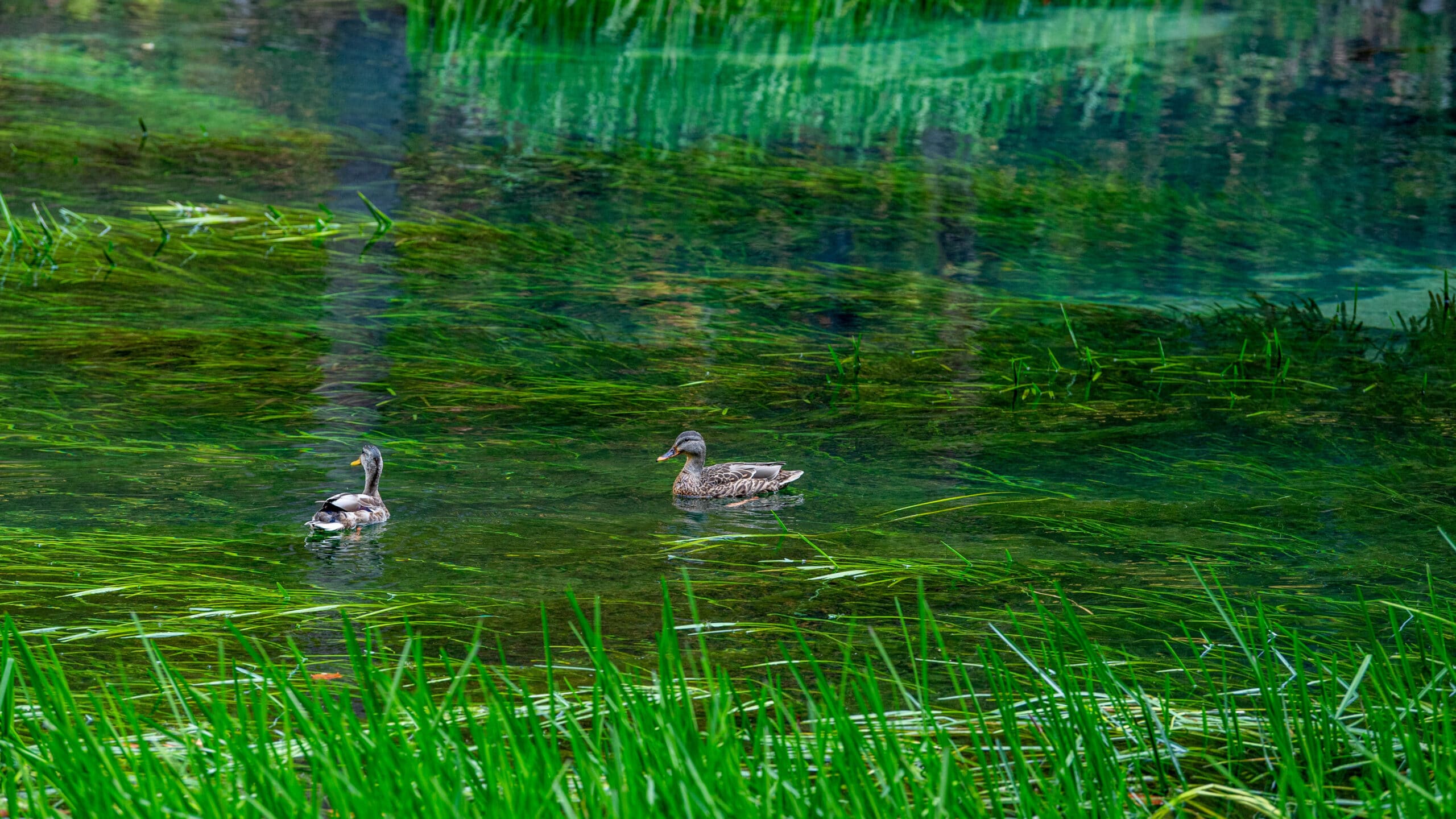 Ha Ha Tonka State Park