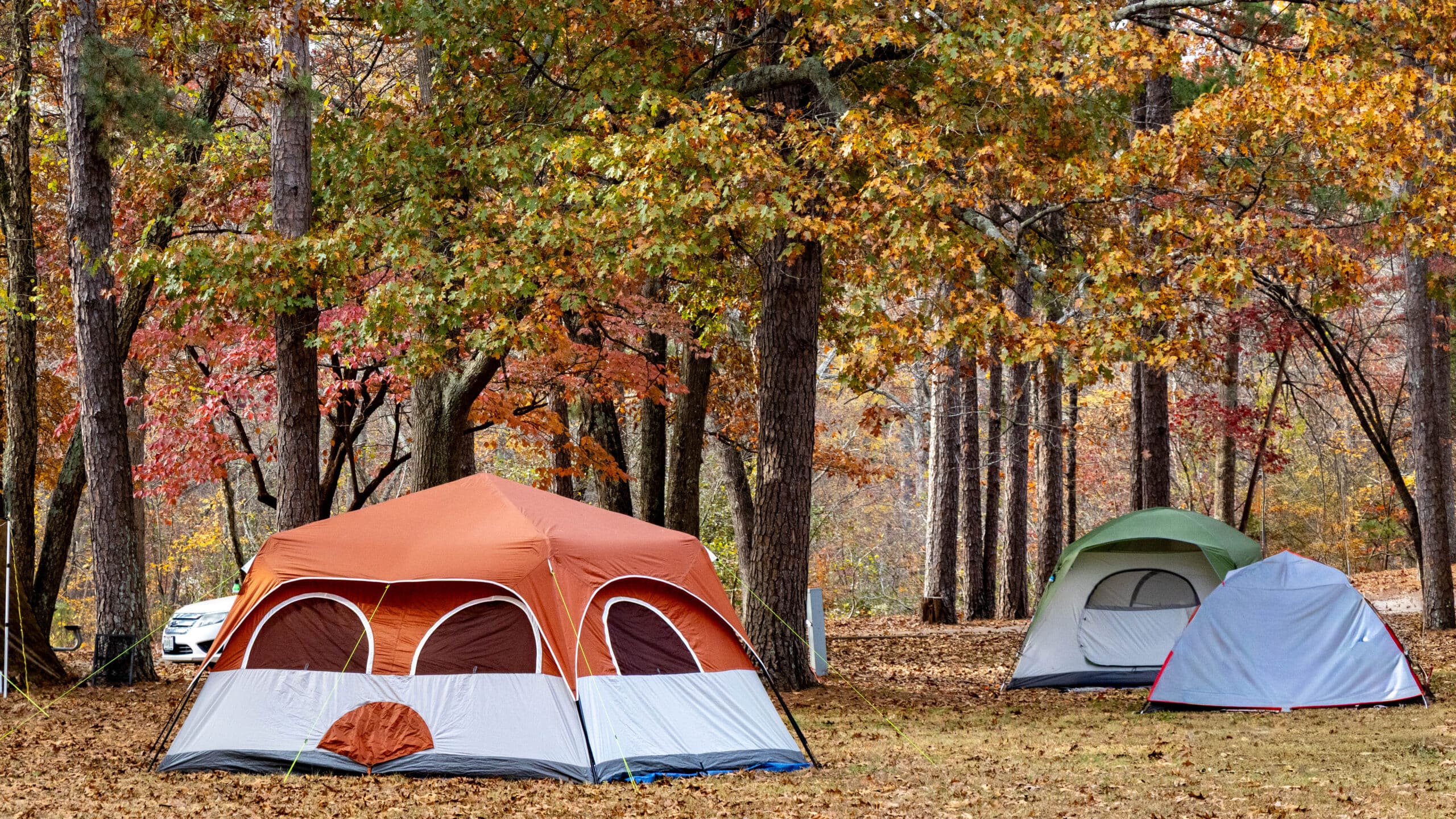 Hawn, Fall, Camping, Tent