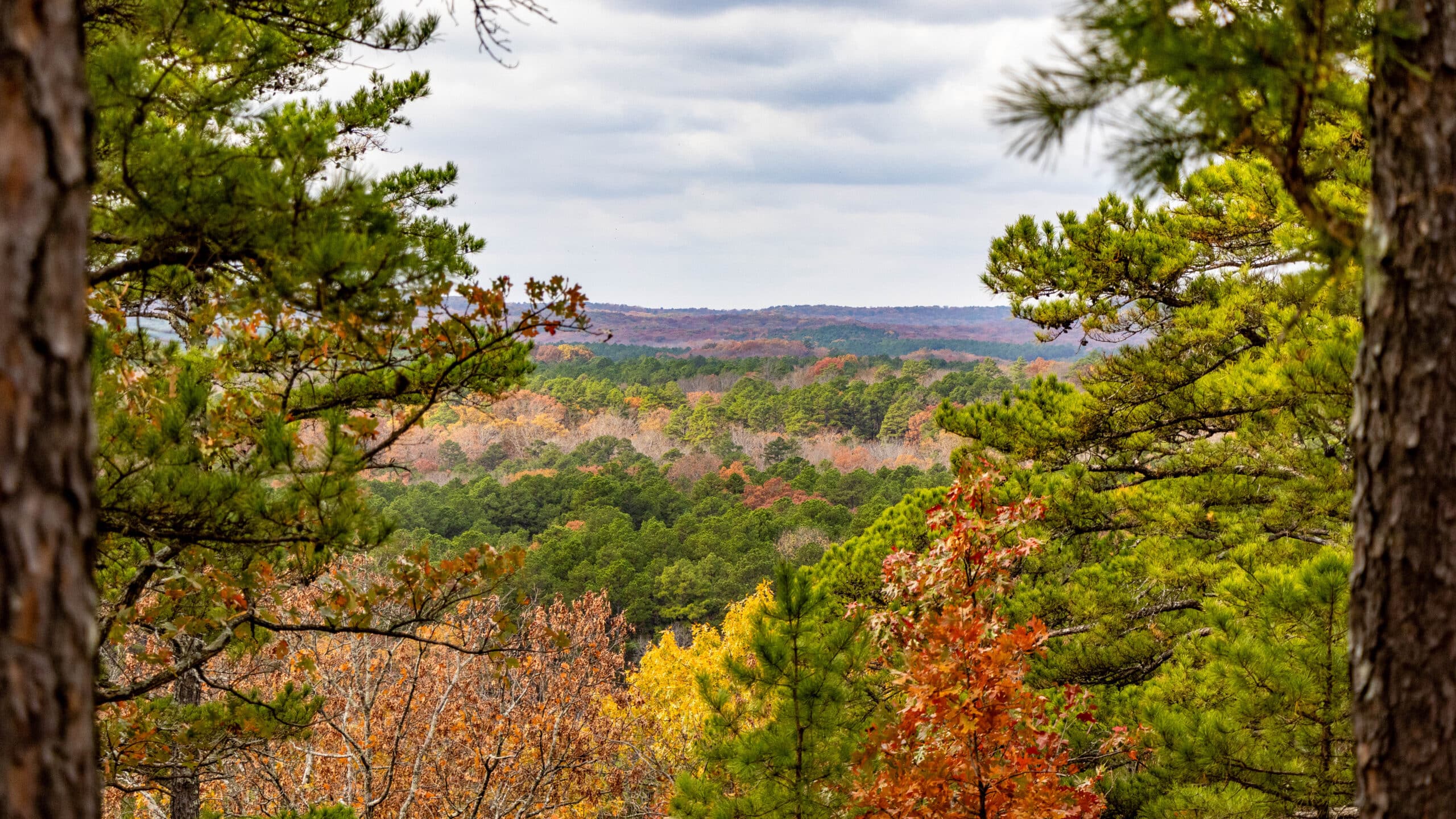 Hawn State Park