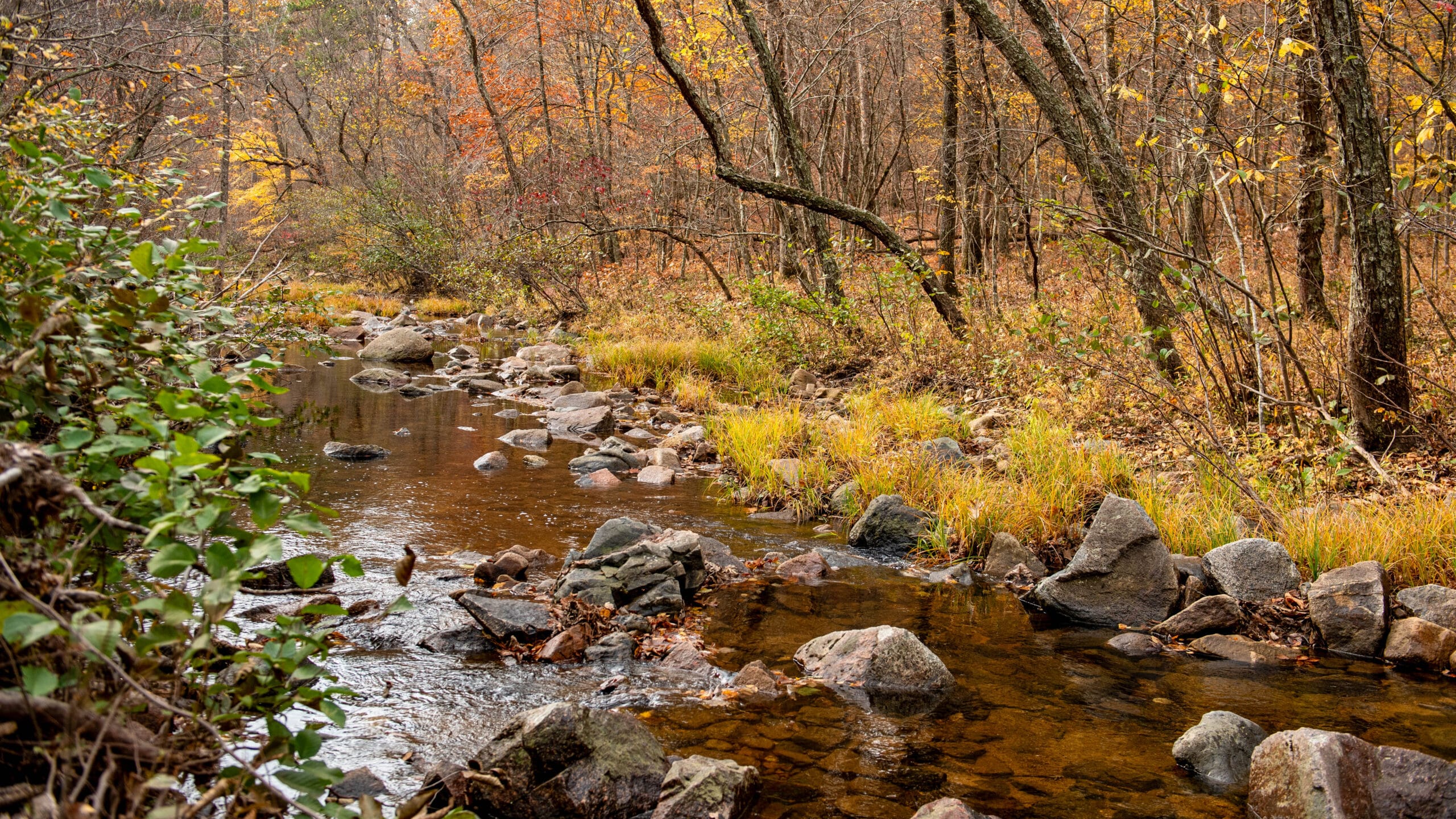 Hawn State Park