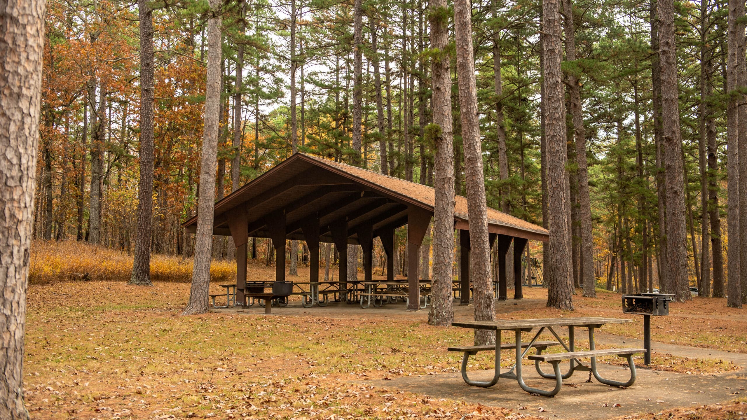 Hawn State Park