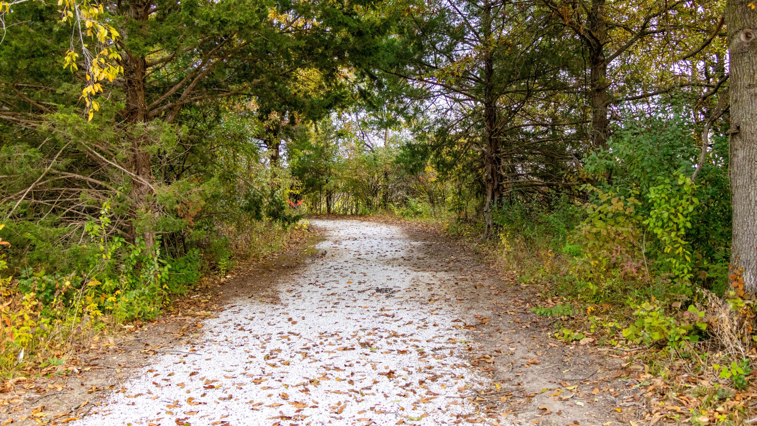 Iliniwek Village State Historic Site
