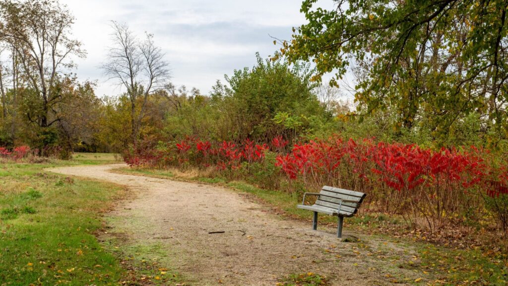 Iliniwek Village, Fall, Hiking, Trail Iliniwek Village, Fall, Hiking, Trail