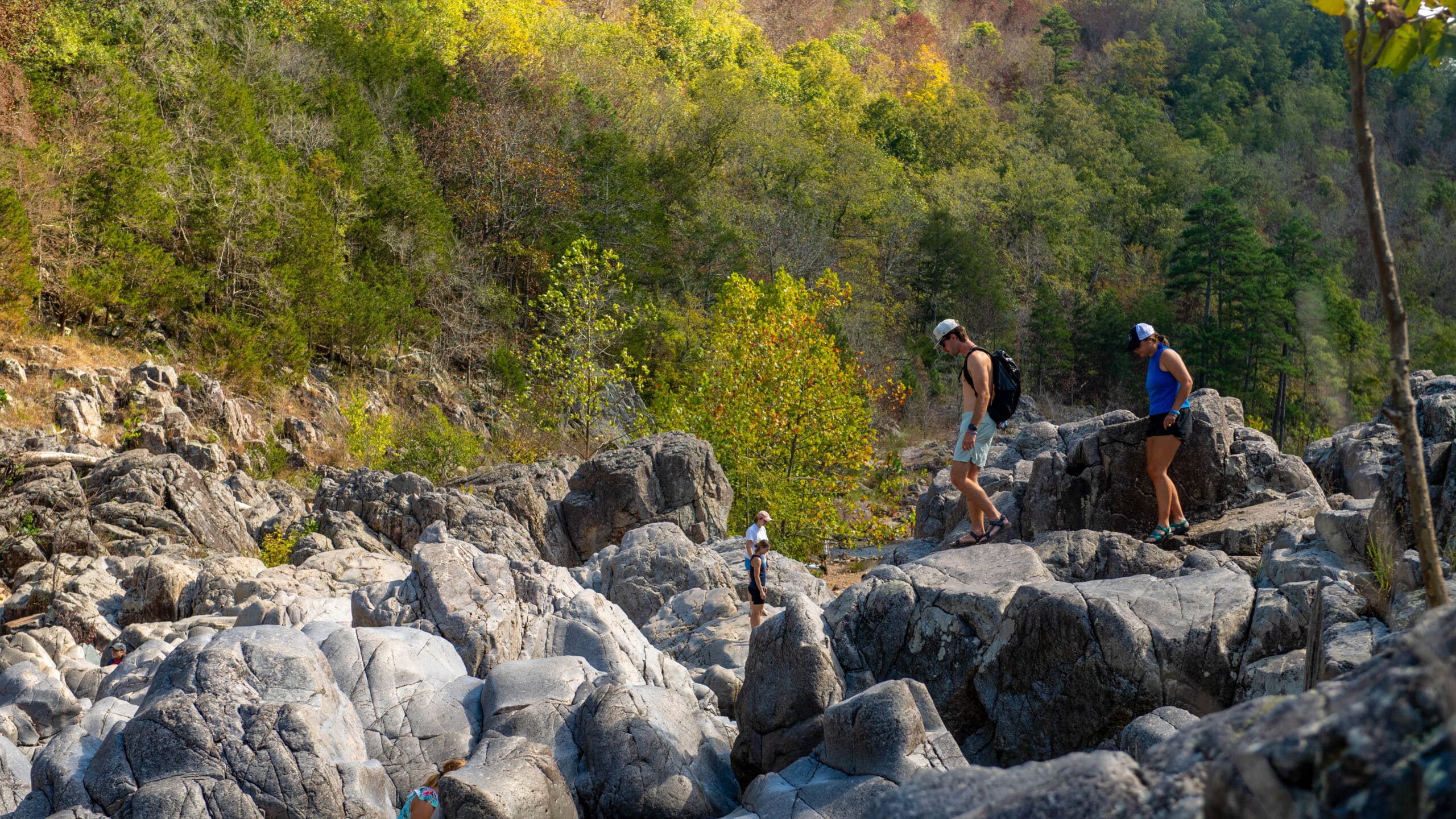 Johnson's Shut-Ins State Park