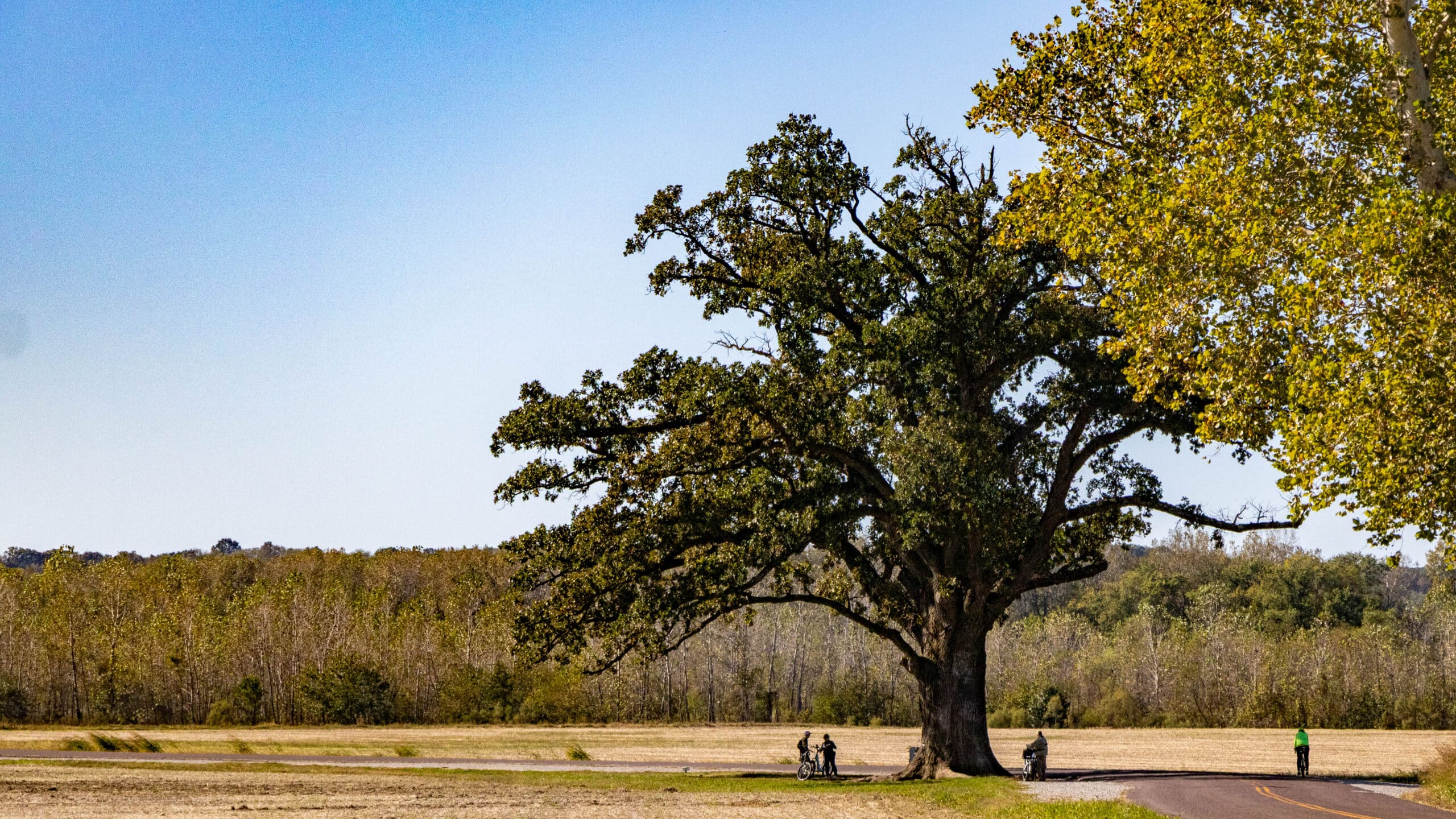 Katy Trail State Park