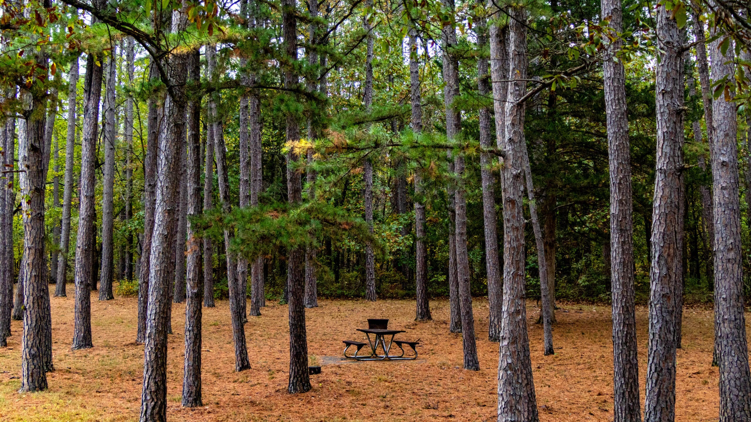Knob Noster State Park