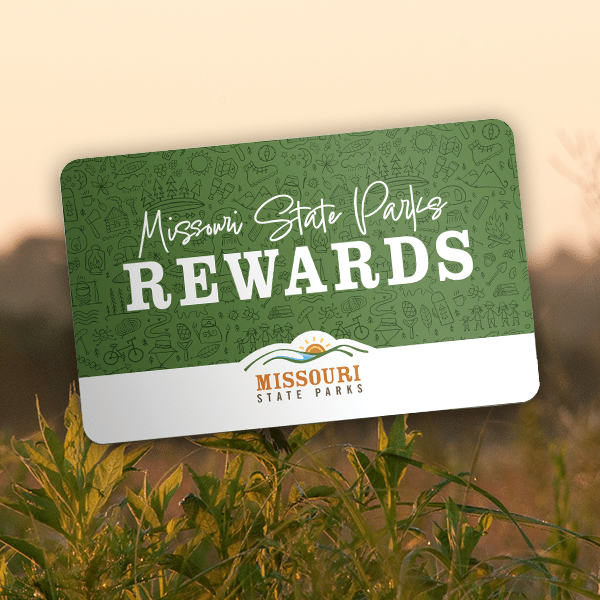Customer Rewards Program