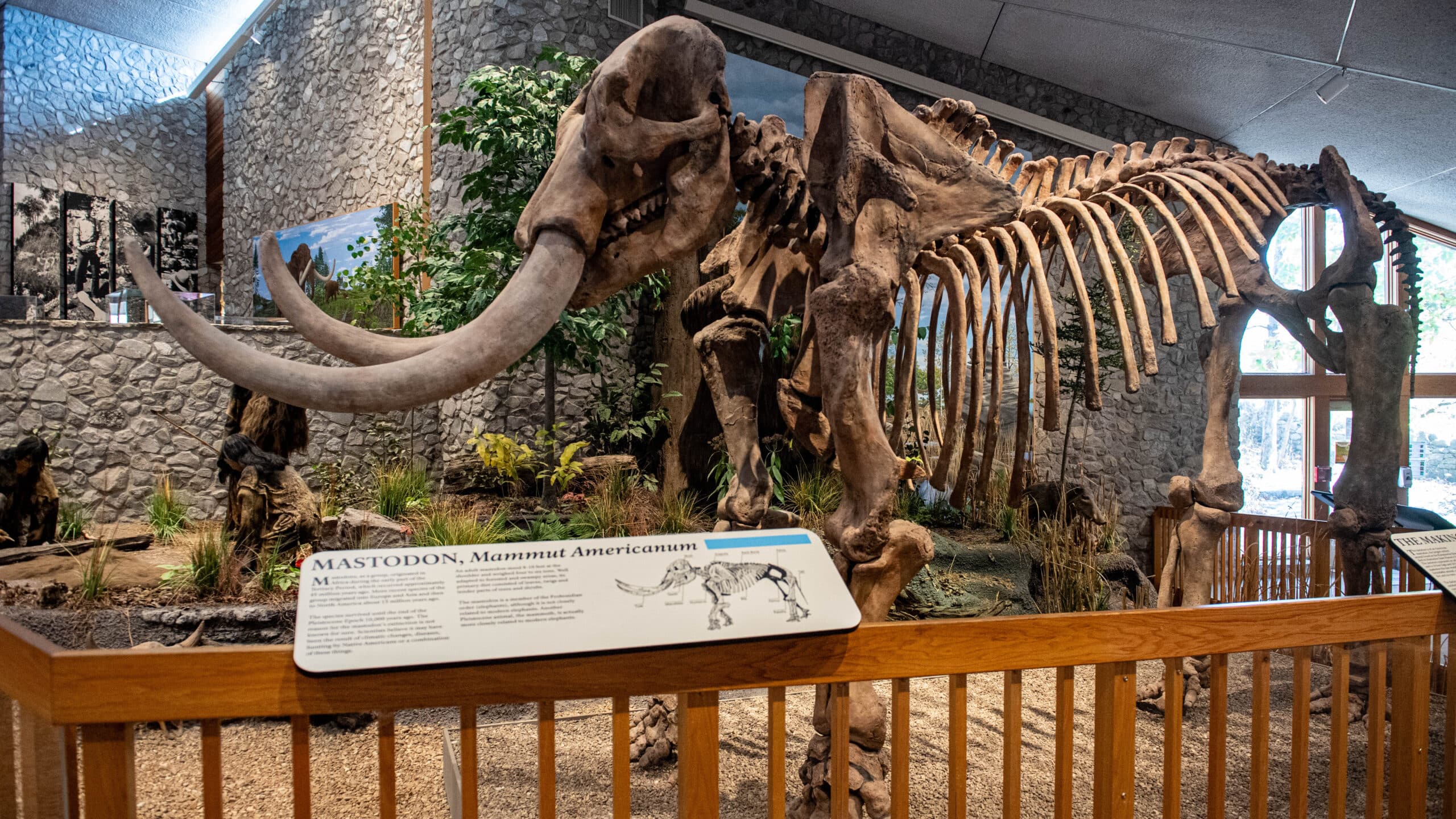 Mastodon State Historic Site