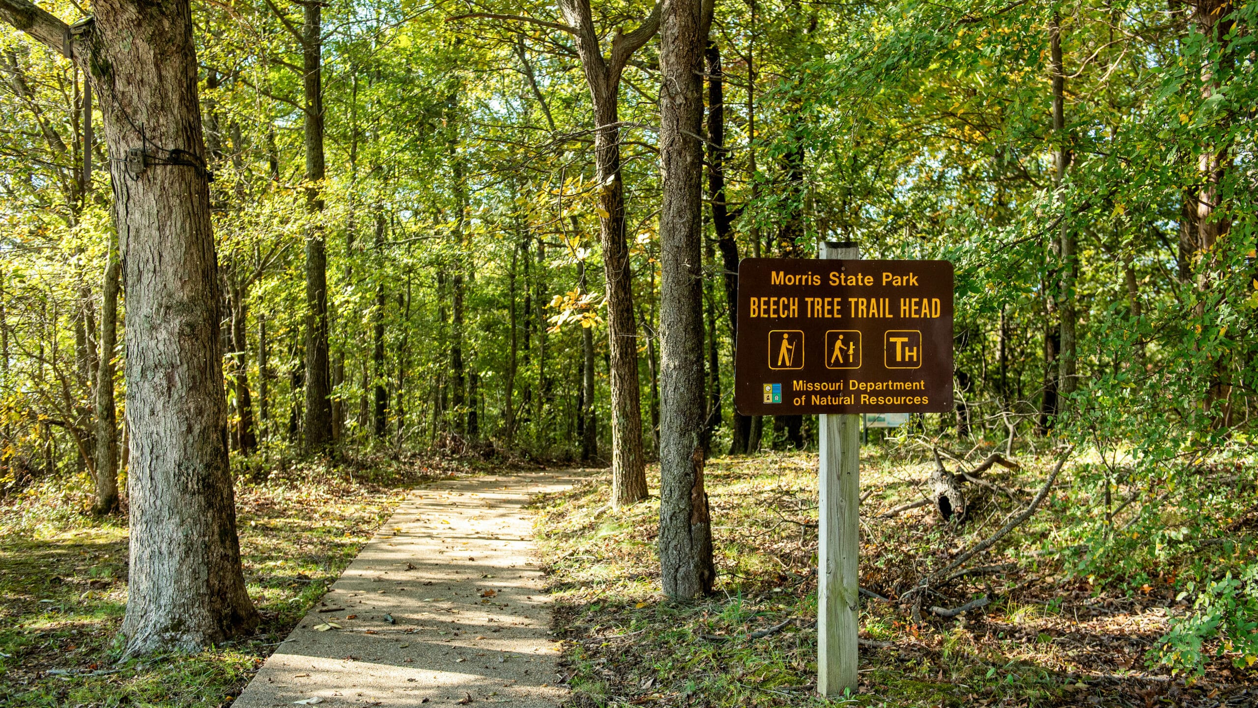 Morris State Park
