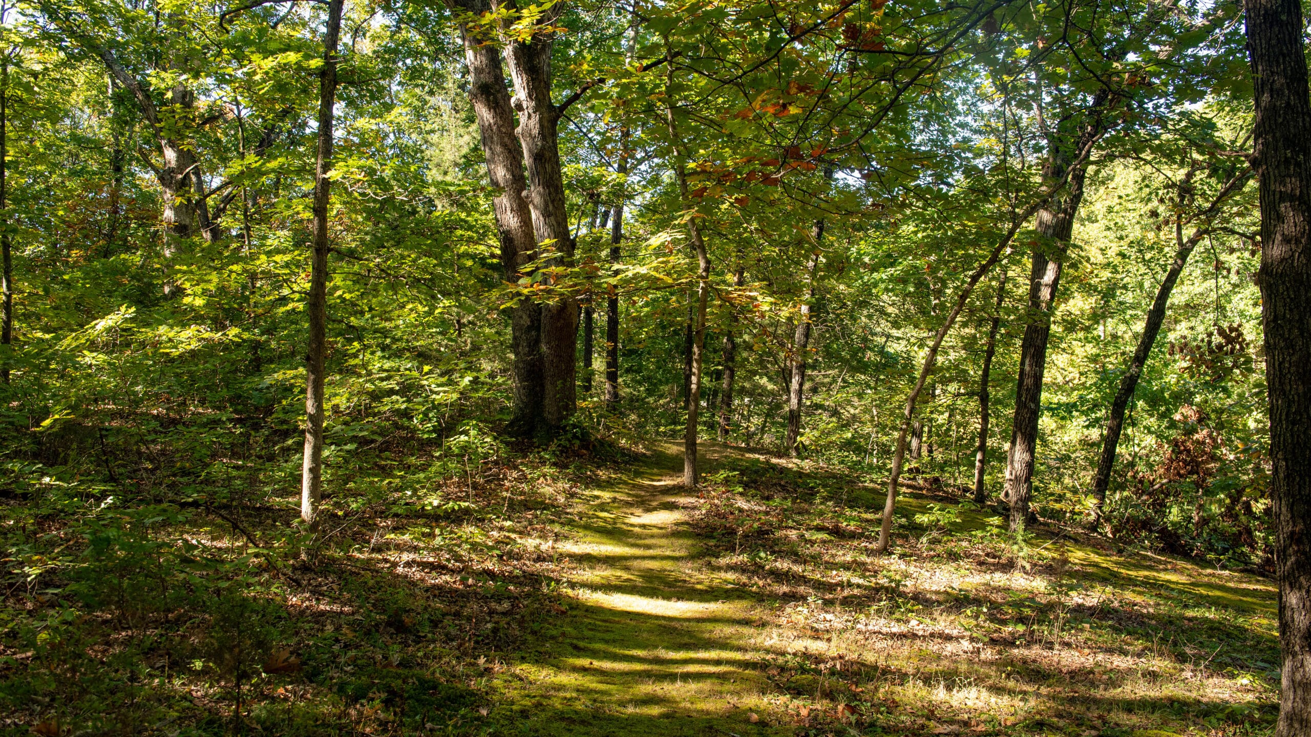 Pershing State Park