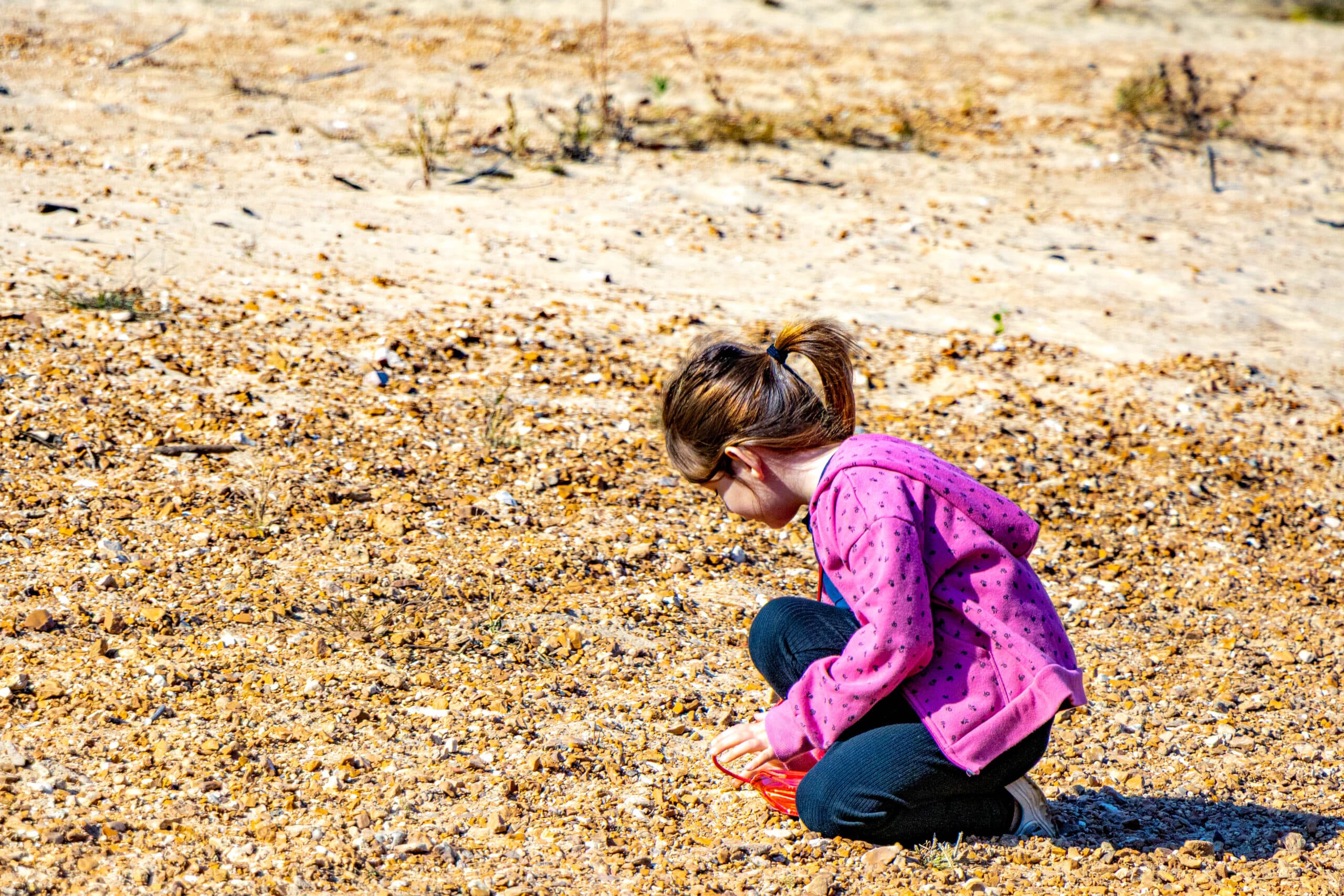 Protecting our national resources, child, shells