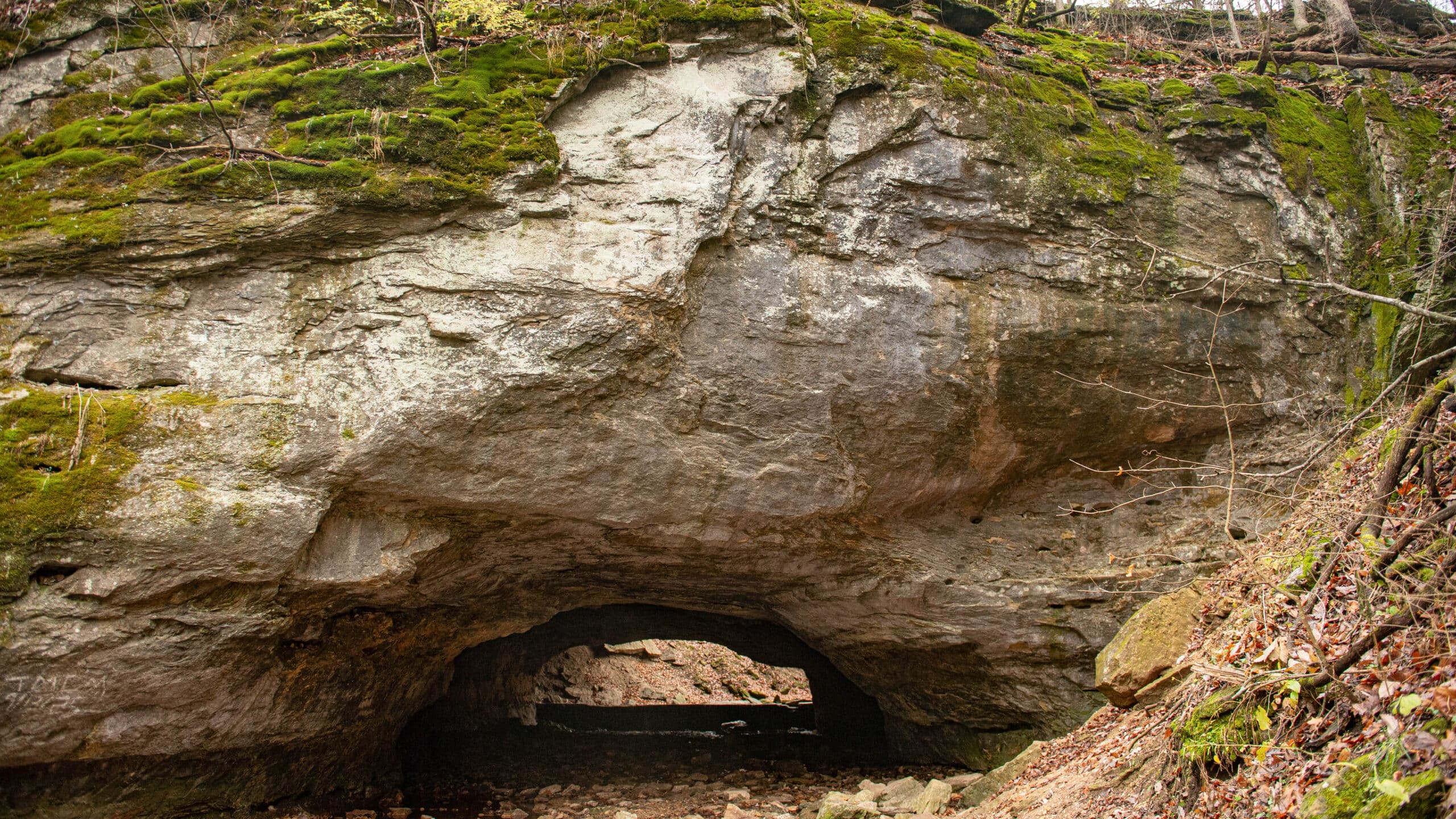 Rock Bridge Memorial State Park