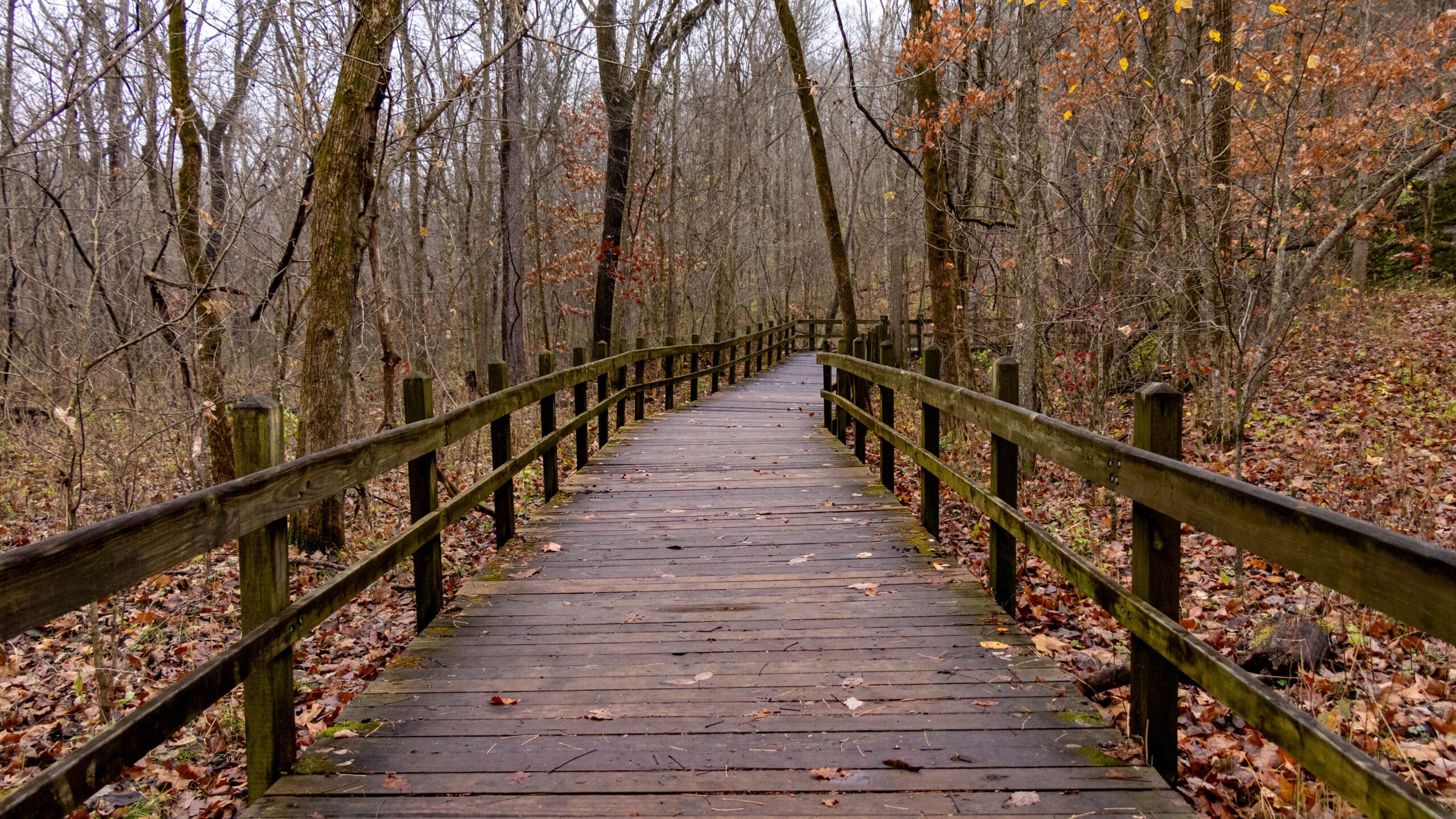 Rock Bridge Memorial State Park